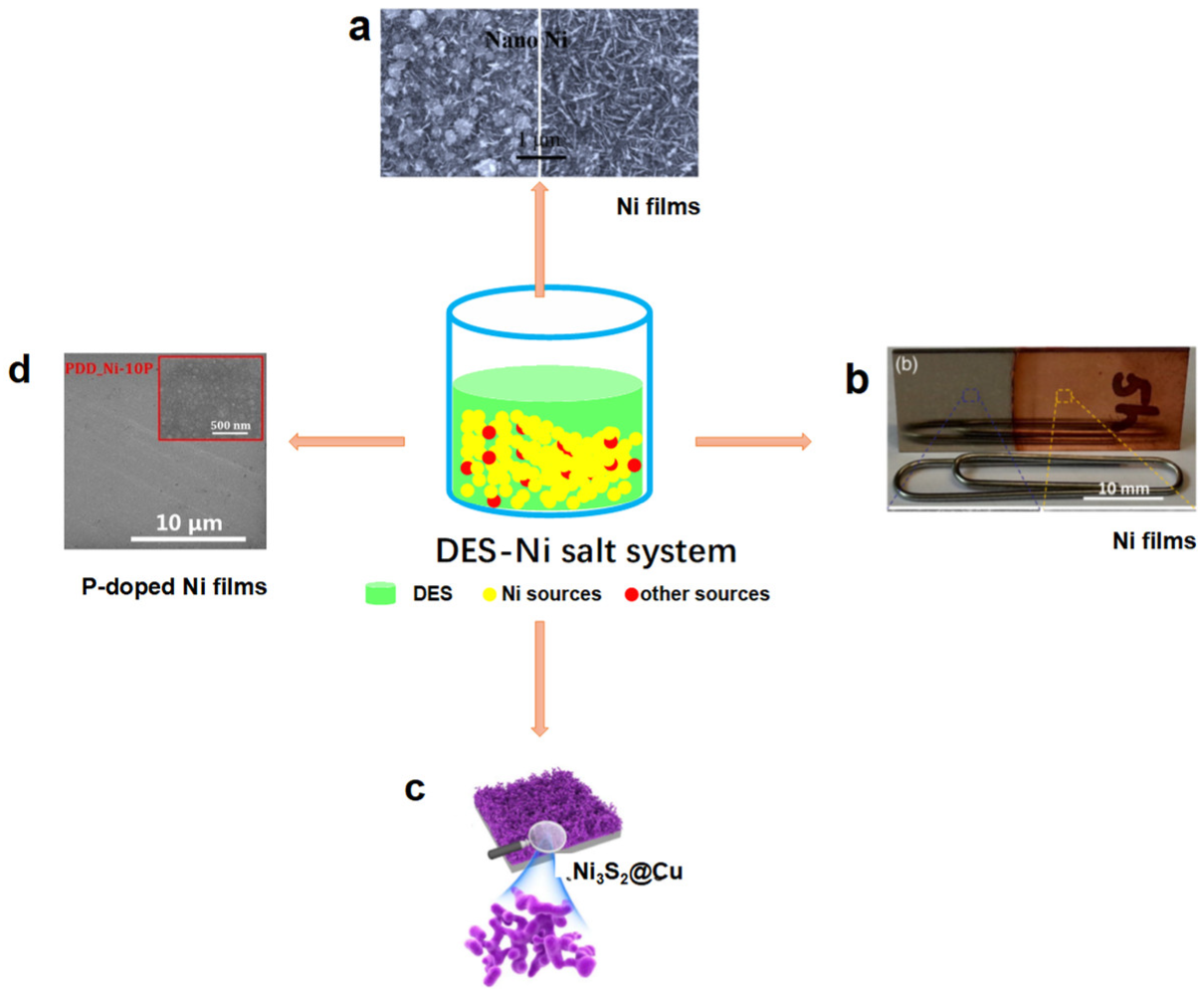 Molecules 27 08098 g002