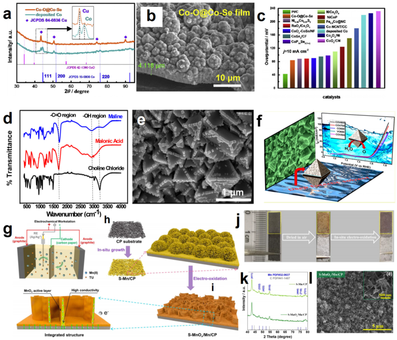 Molecules 27 08098 g003