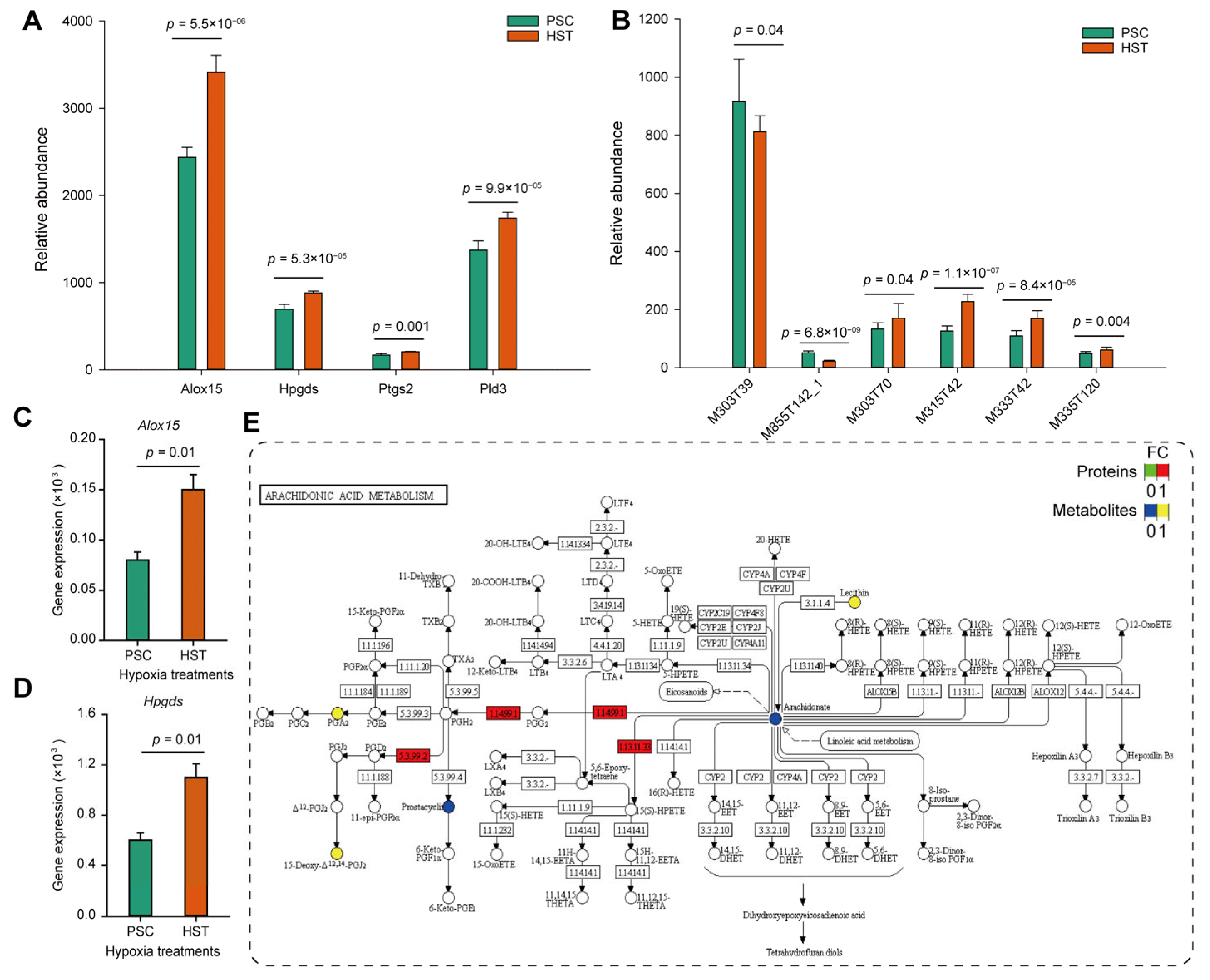 Molecules 27 08102 g004