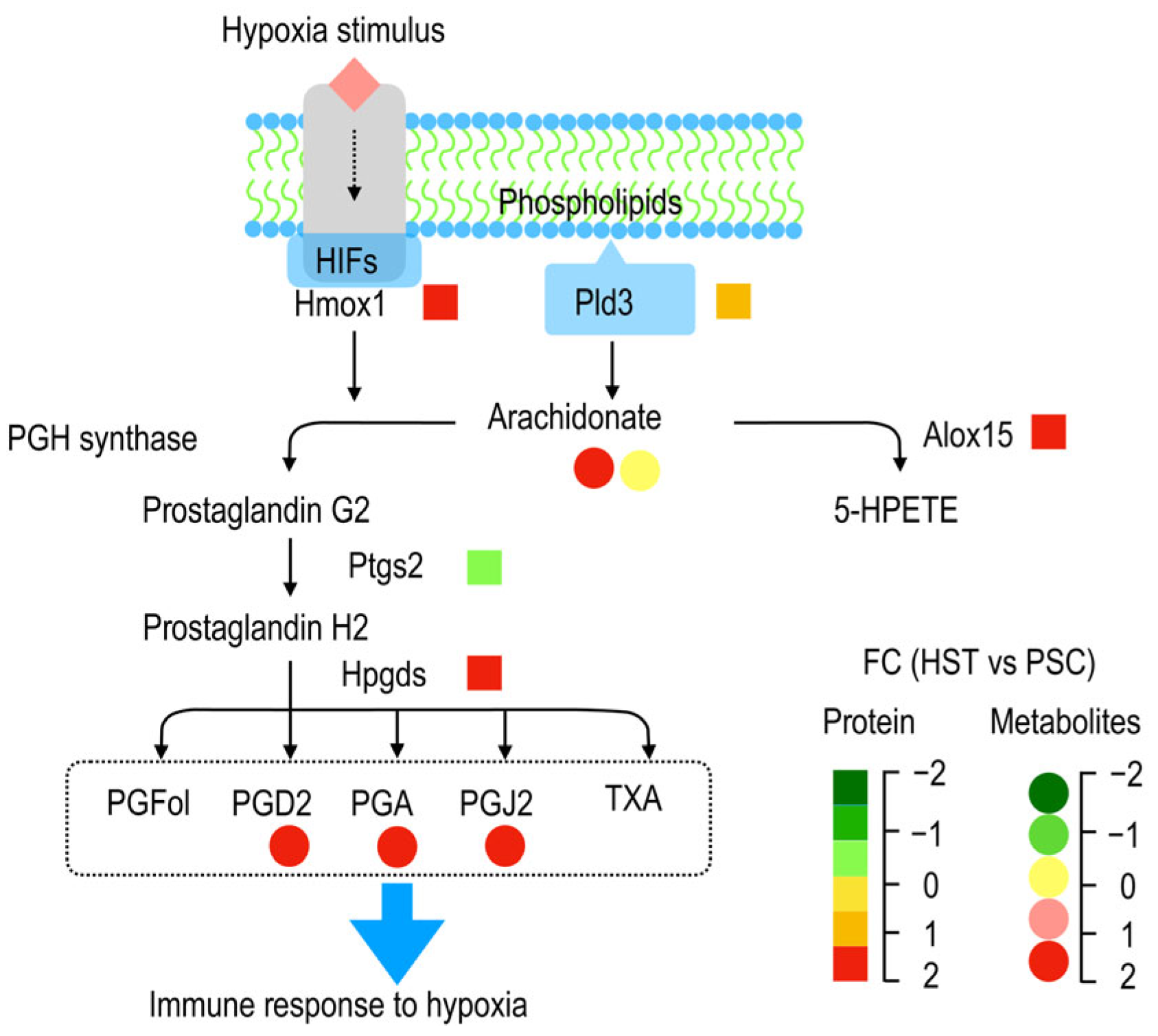 Molecules 27 08102 g005
