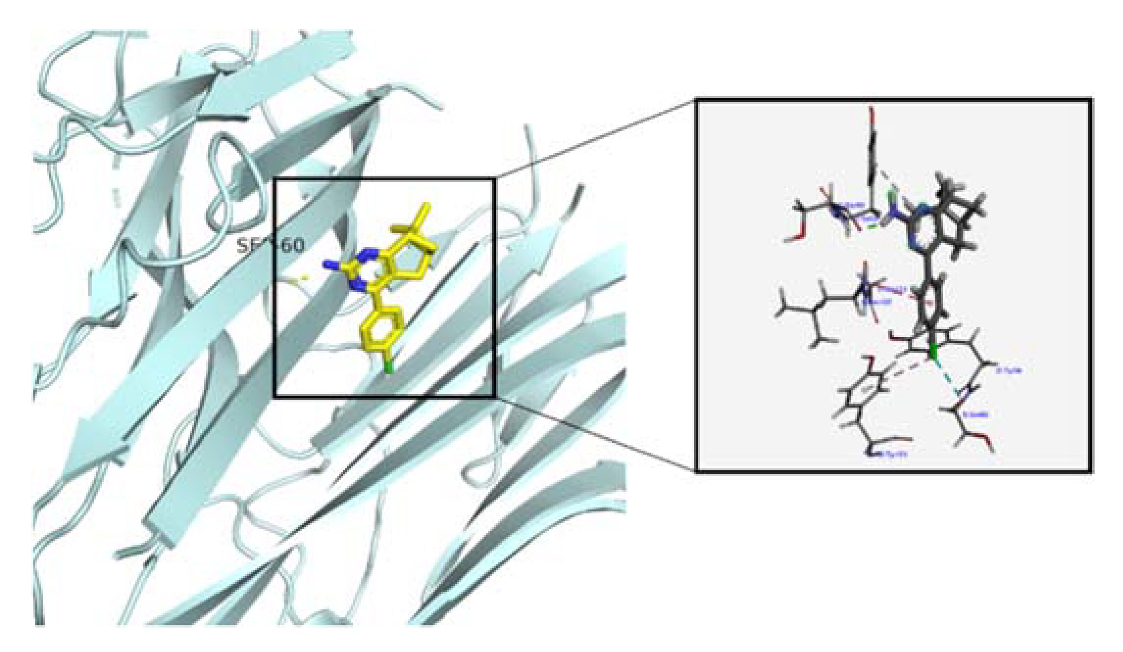 Molecules 27 08104 g002 Molecules 27 08104 g002