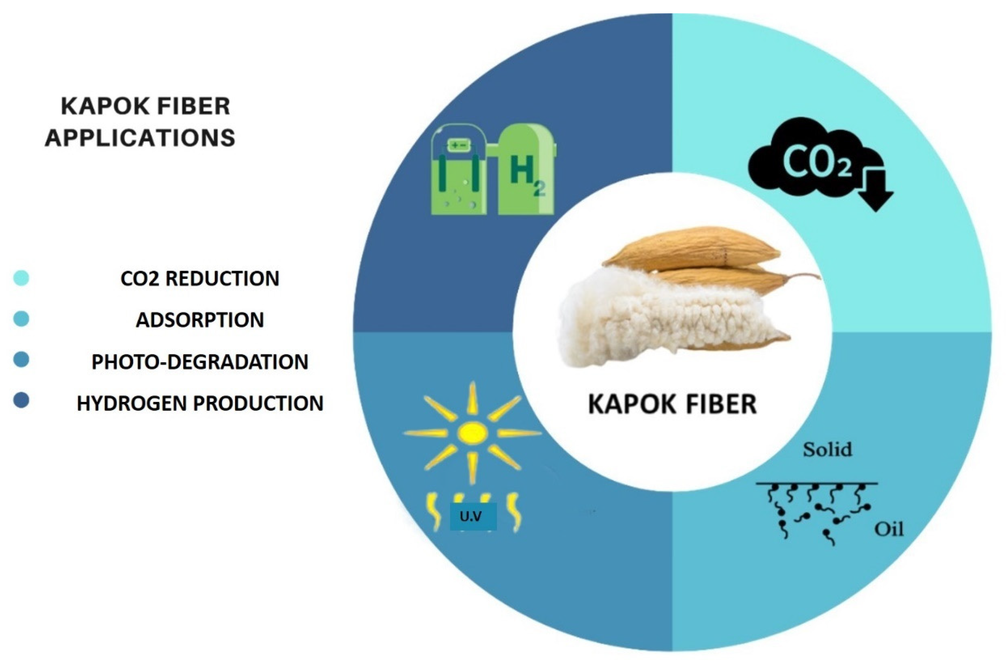 Molecules Free FullText Biobased Kapok Fiber NanoStructure for