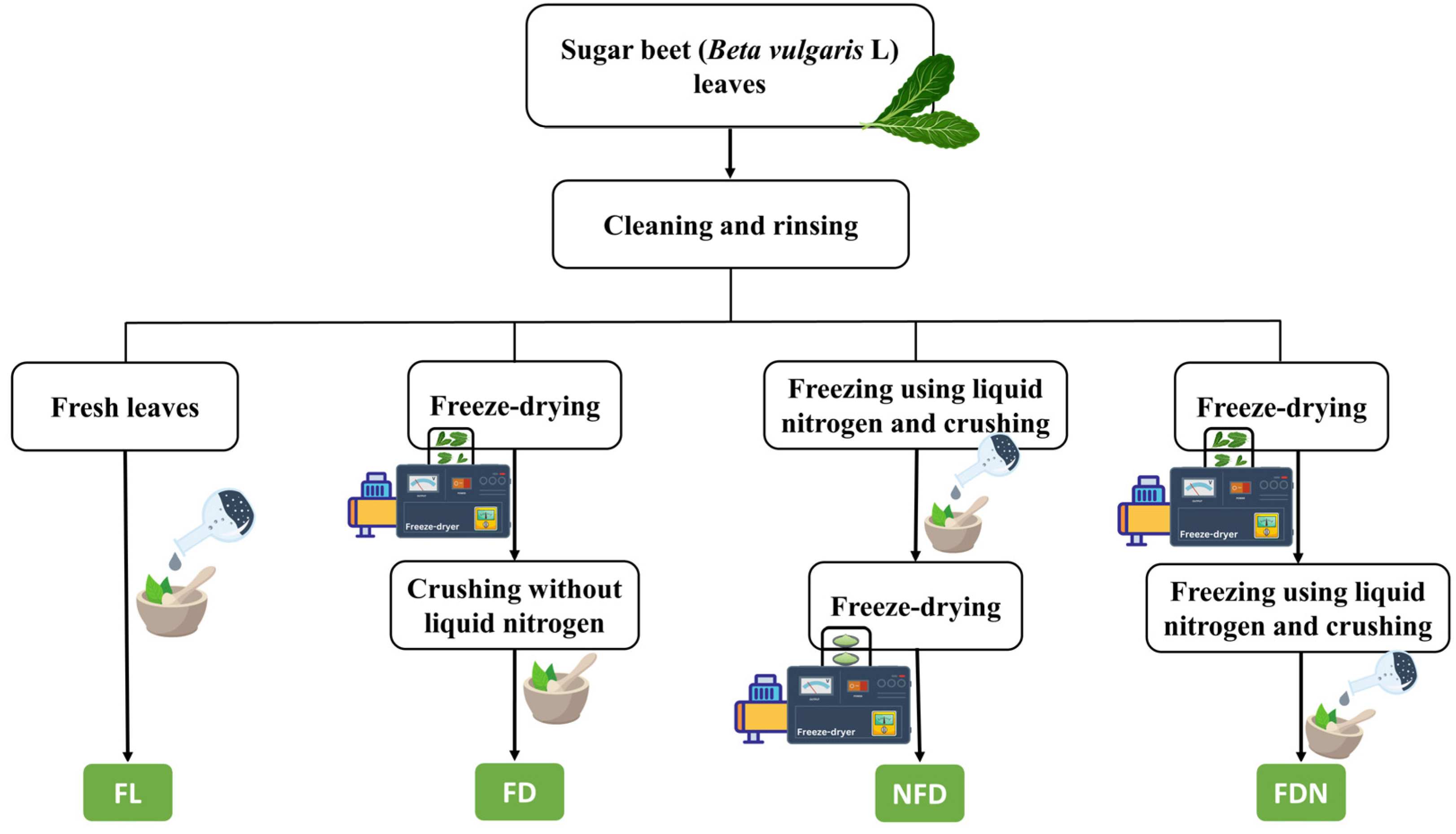 Molecules 27 08110 g001 Molecules 27 08110 g001