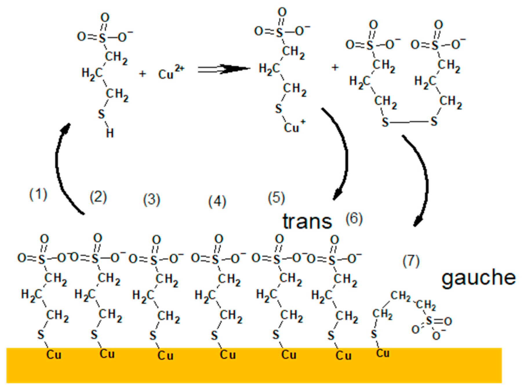 Molecules 27 08116 g009