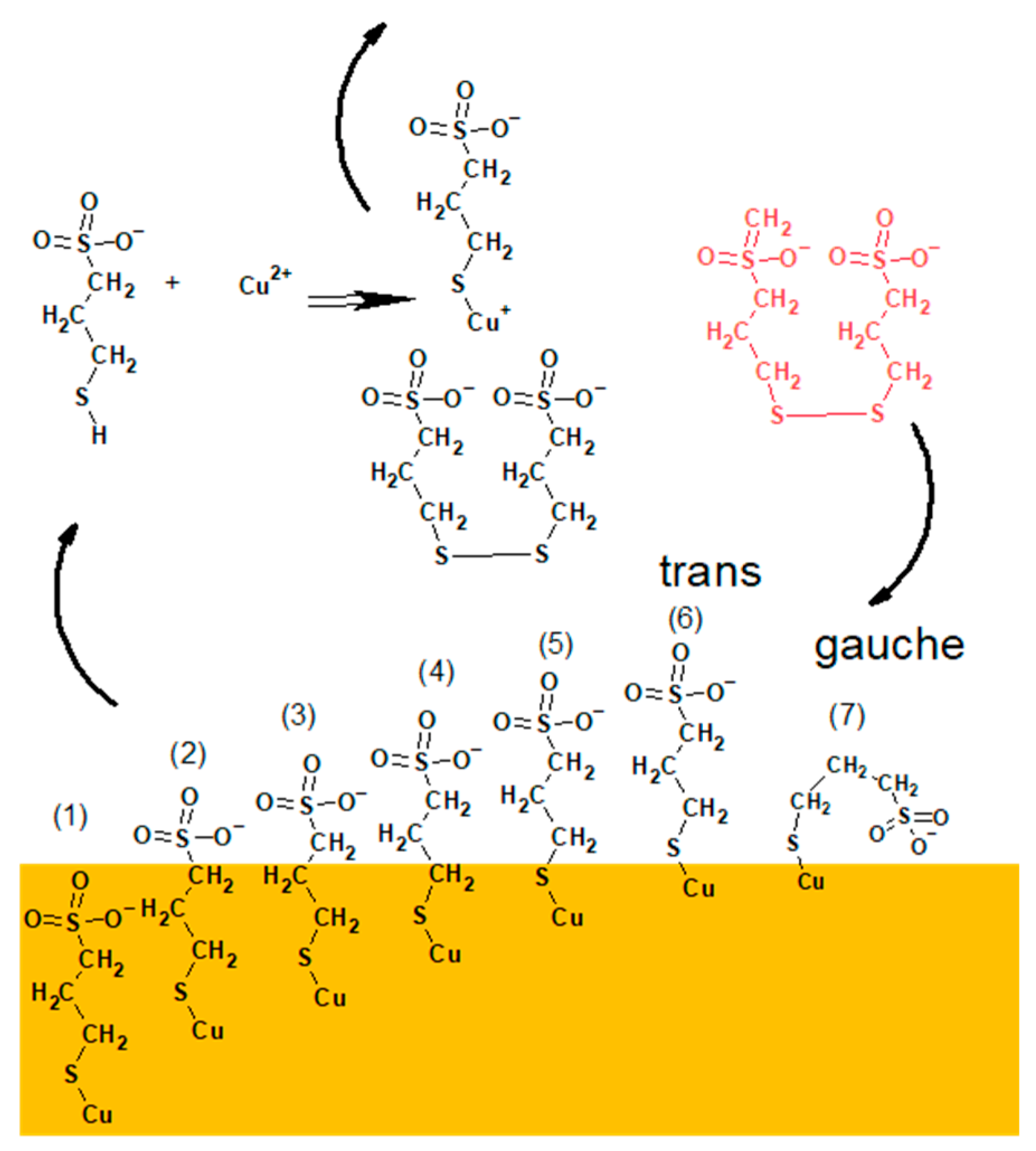 Molecules 27 08116 g011
