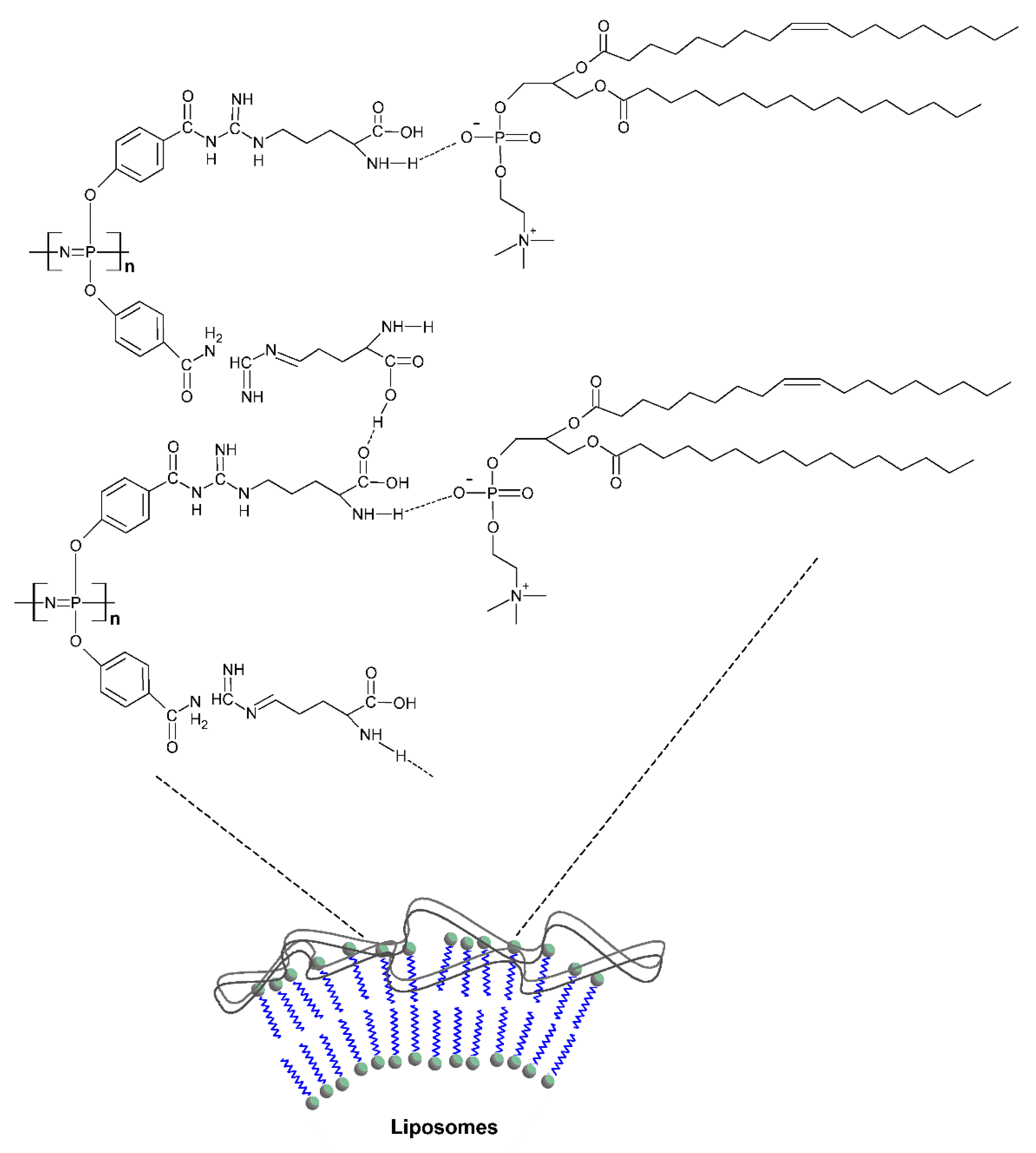 Molecules 27 08117 g018