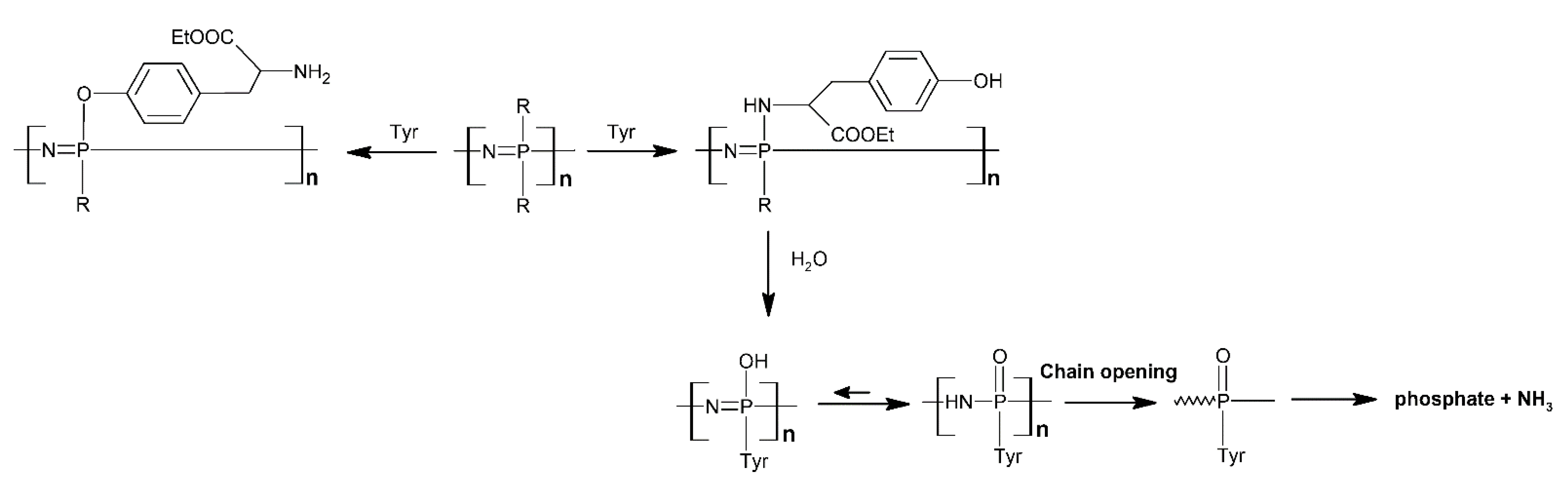 Molecules 27 08117 sch007