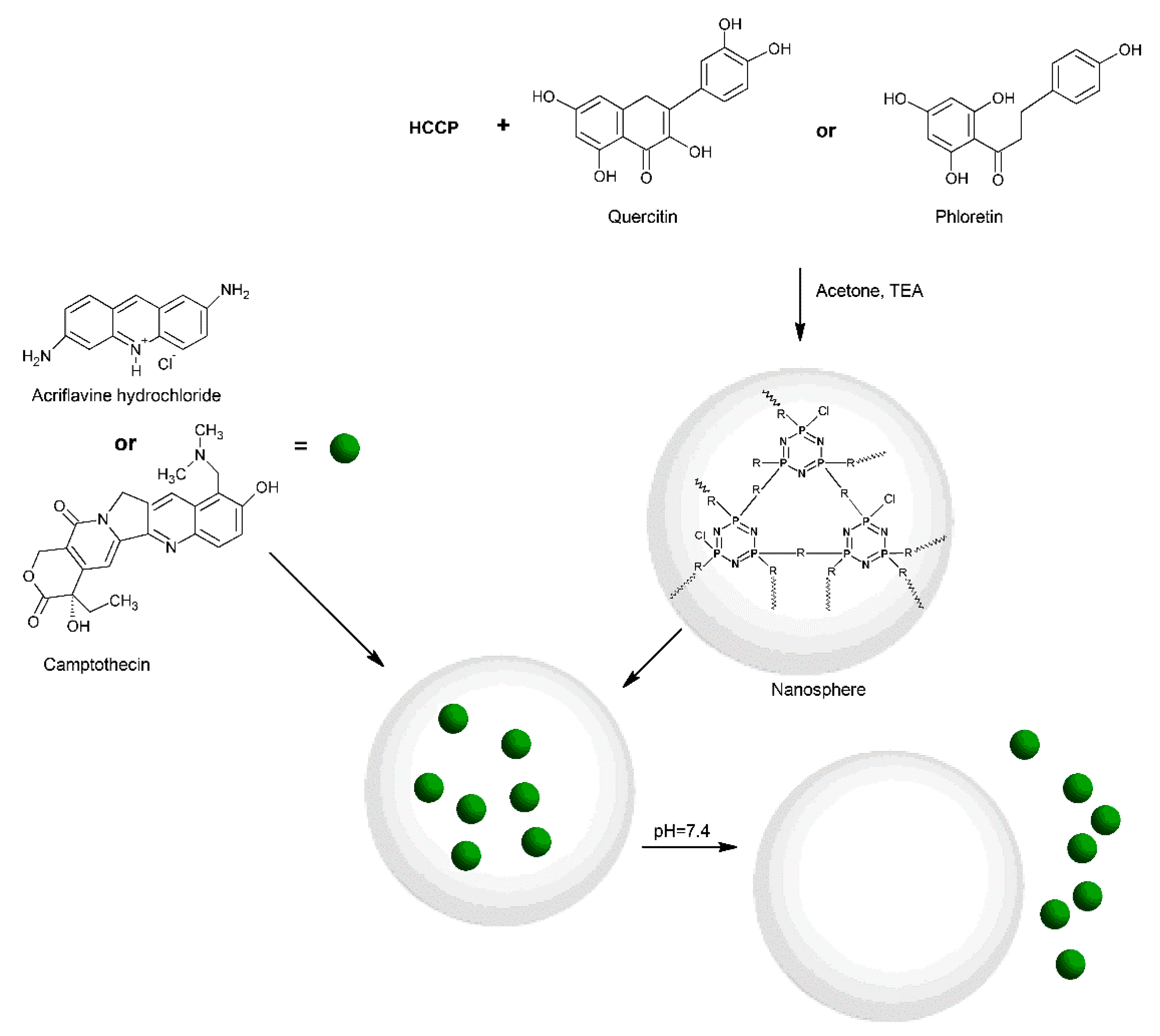 Molecules 27 08117 sch010