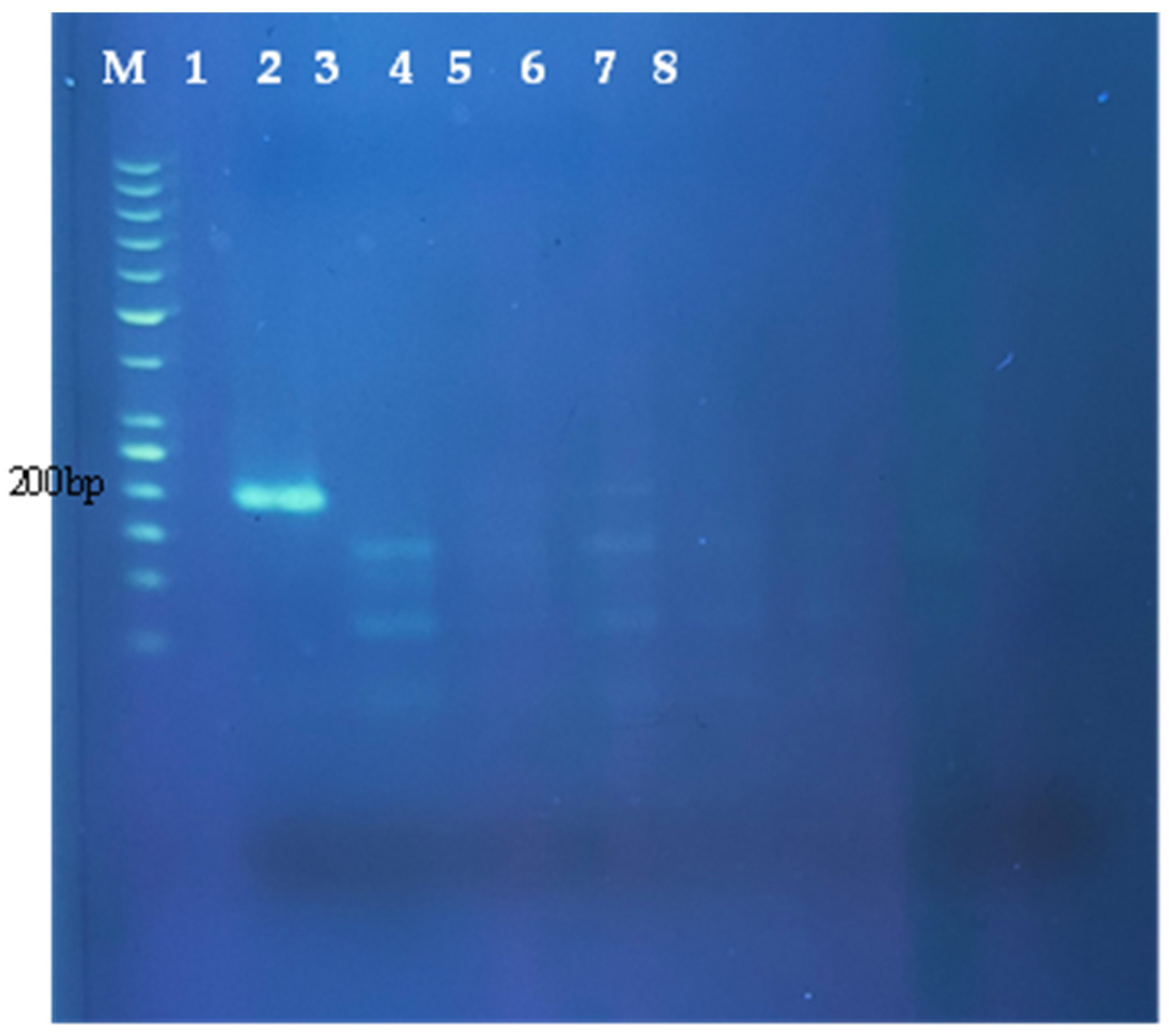 Molecules 27 08122 g001 Molecules 27 08122 g001