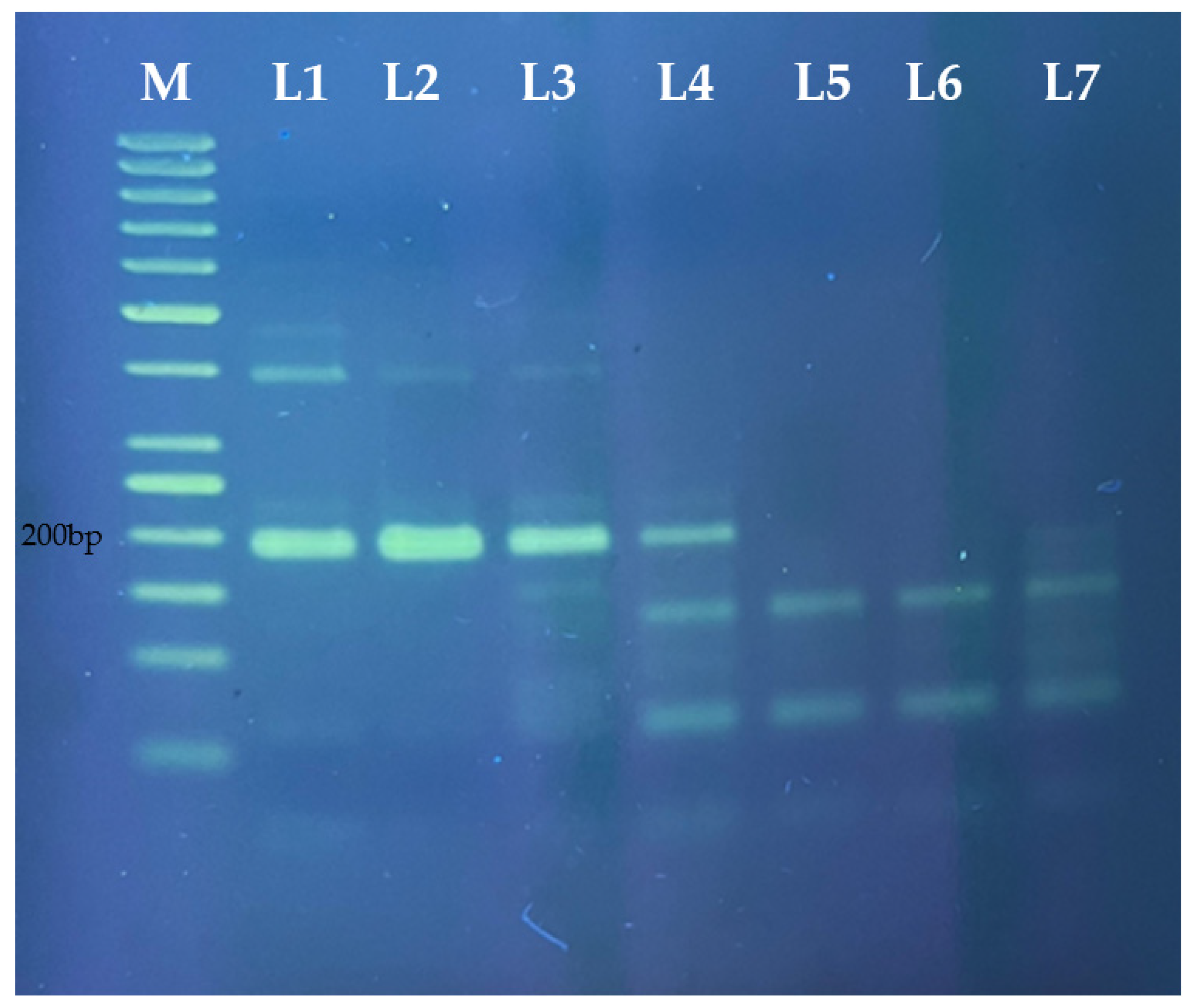 Molecules 27 08122 g003 Molecules 27 08122 g003