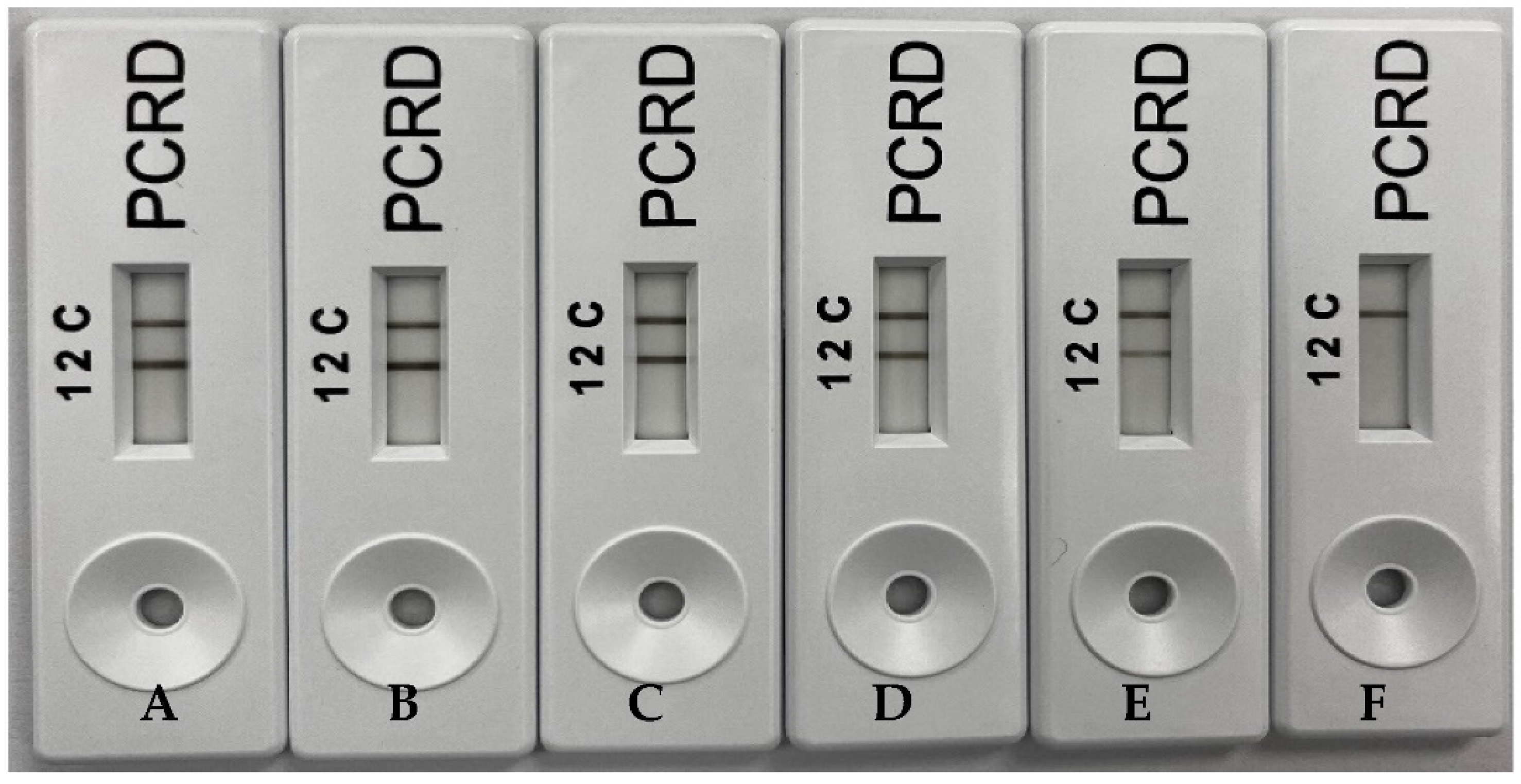 Molecules 27 08122 g005 Molecules 27 08122 g005
