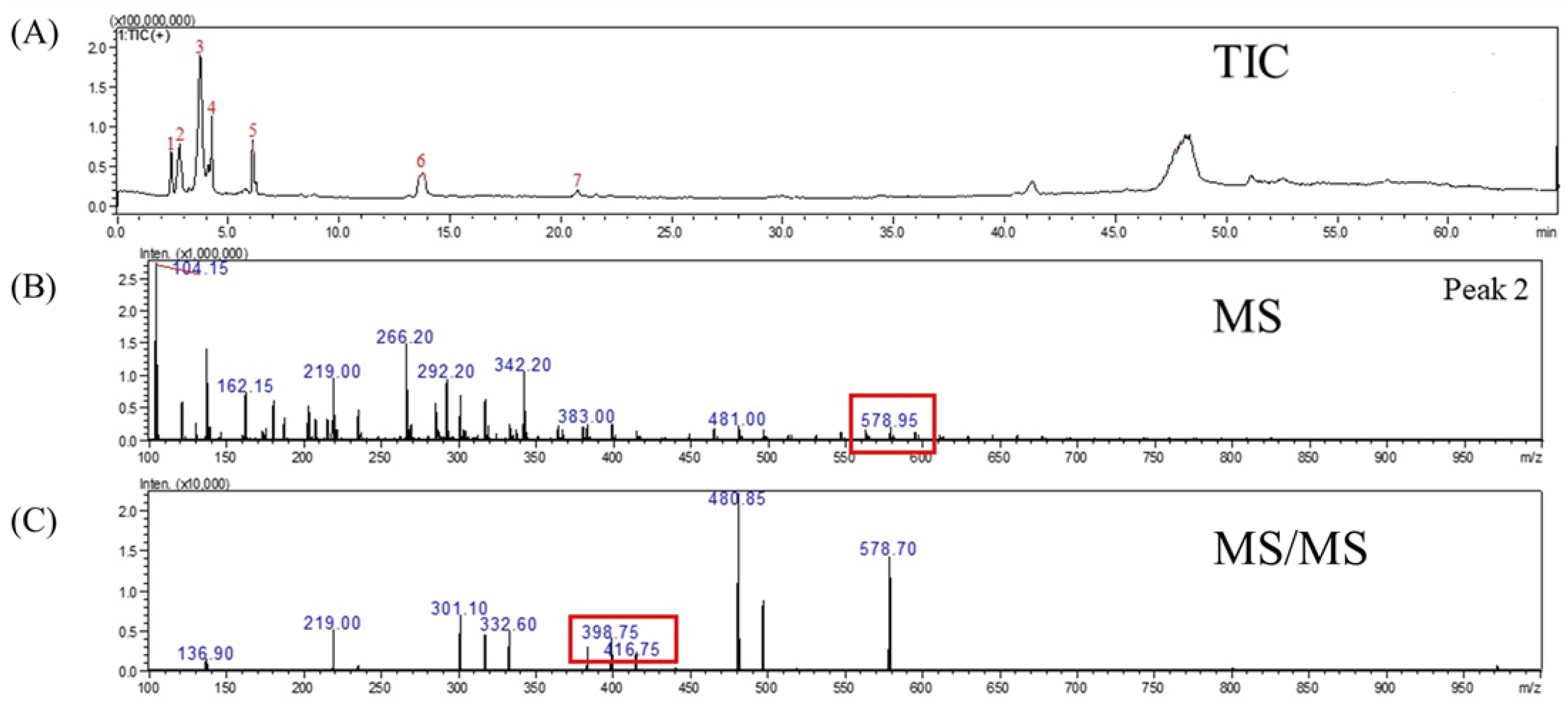Molecules 27 08125 g004 Molecules 27 08125 g004