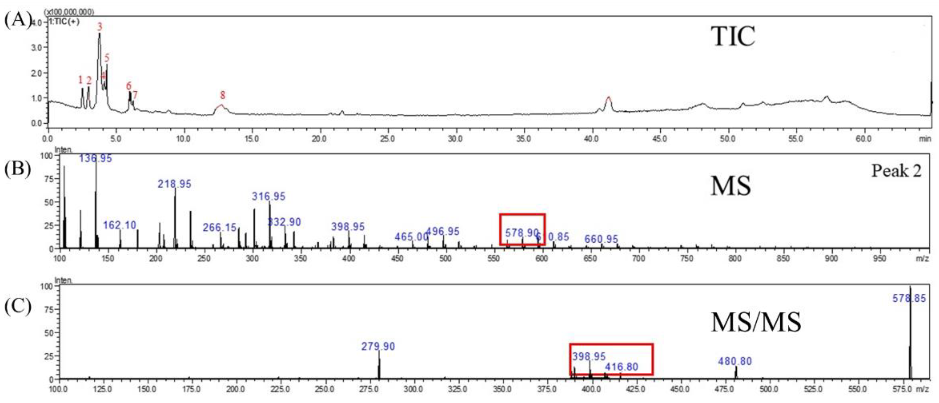 Molecules 27 08125 g005 Molecules 27 08125 g005