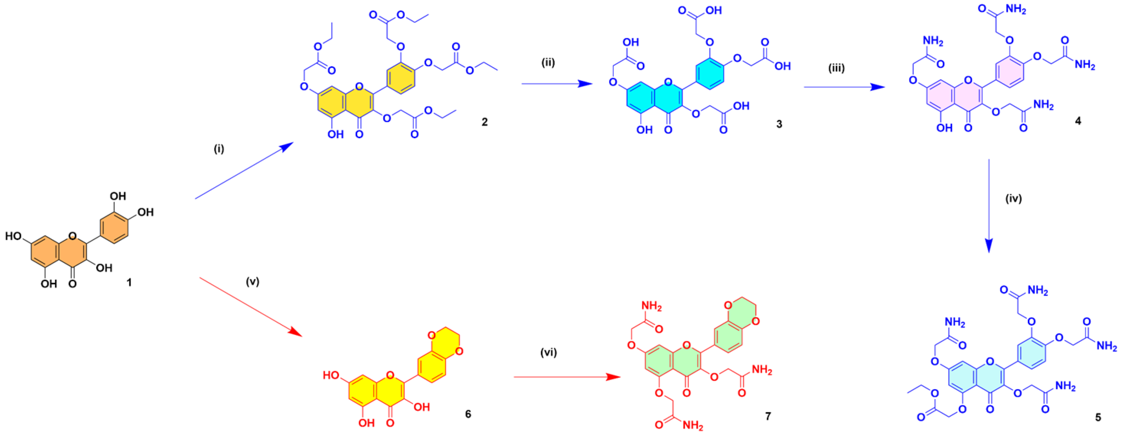 Selective Structural Derivatization of Flavonoid Acetamides