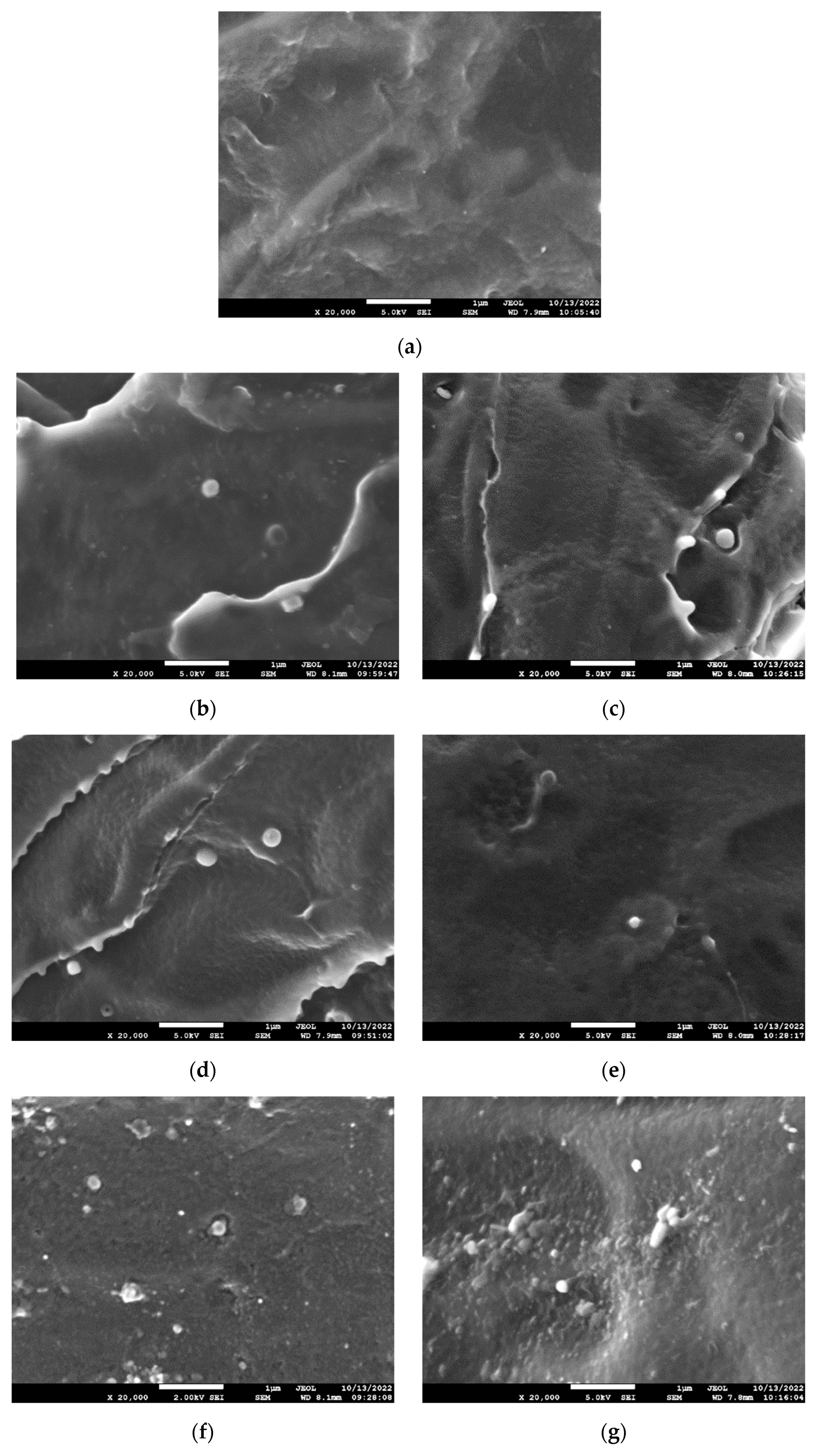 Molecules 27 08143 g003 Molecules 27 08143 g003