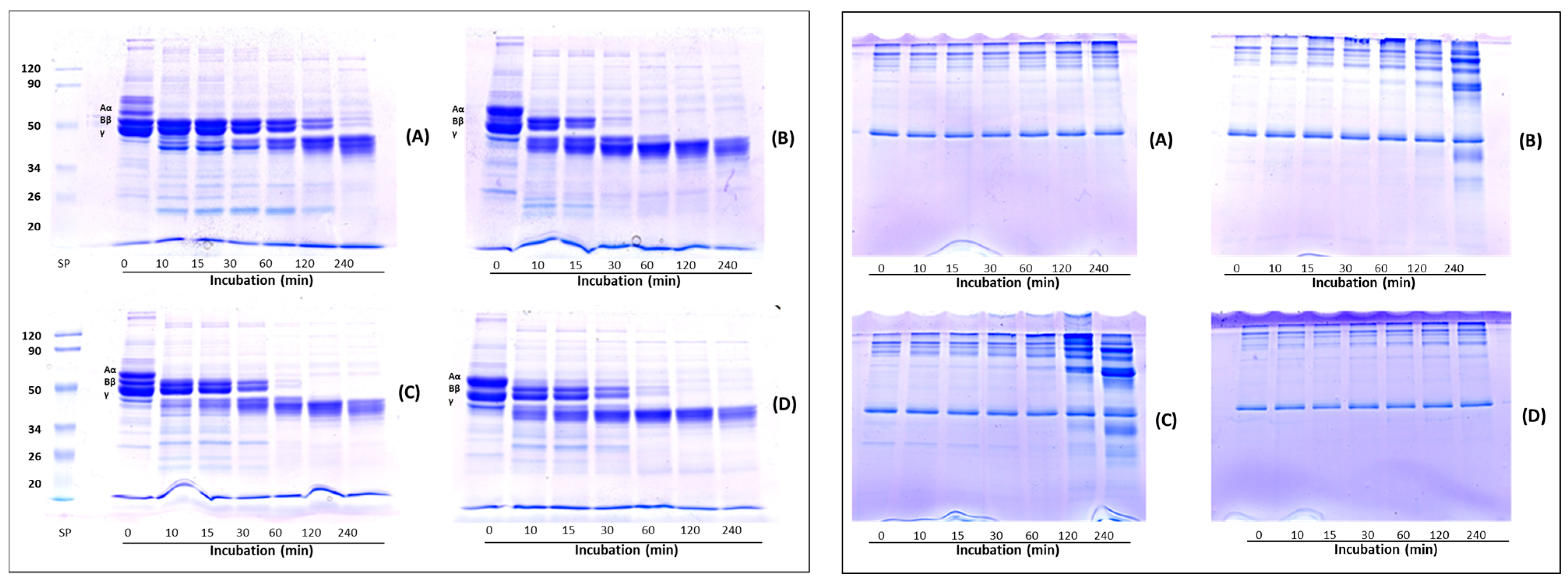 Molecules 27 08145 g004 Molecules 27 08145 g004