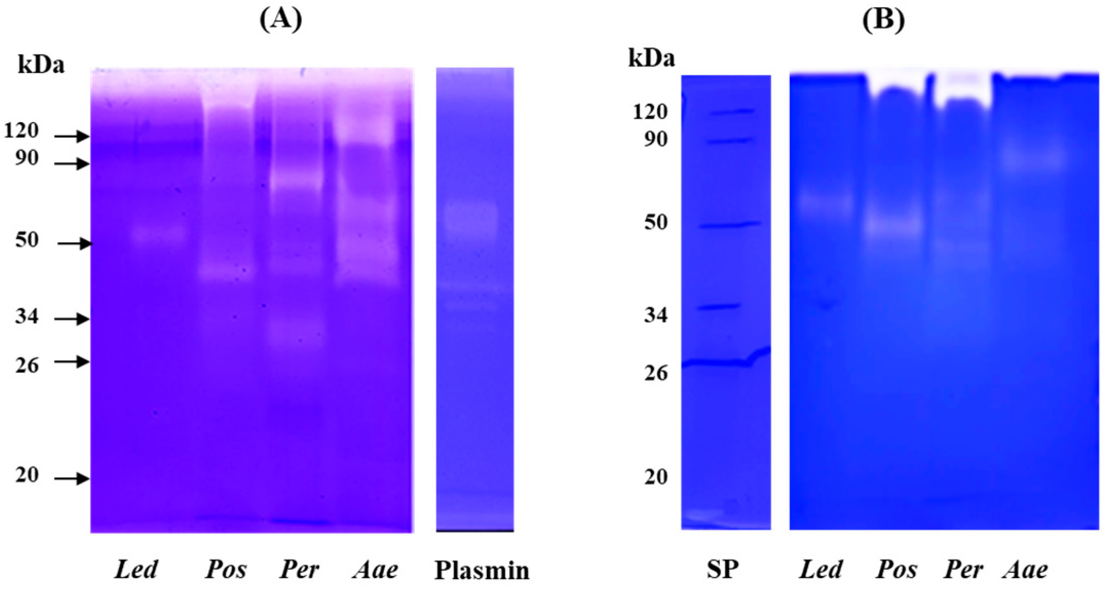 Molecules 27 08145 g005 Molecules 27 08145 g005
