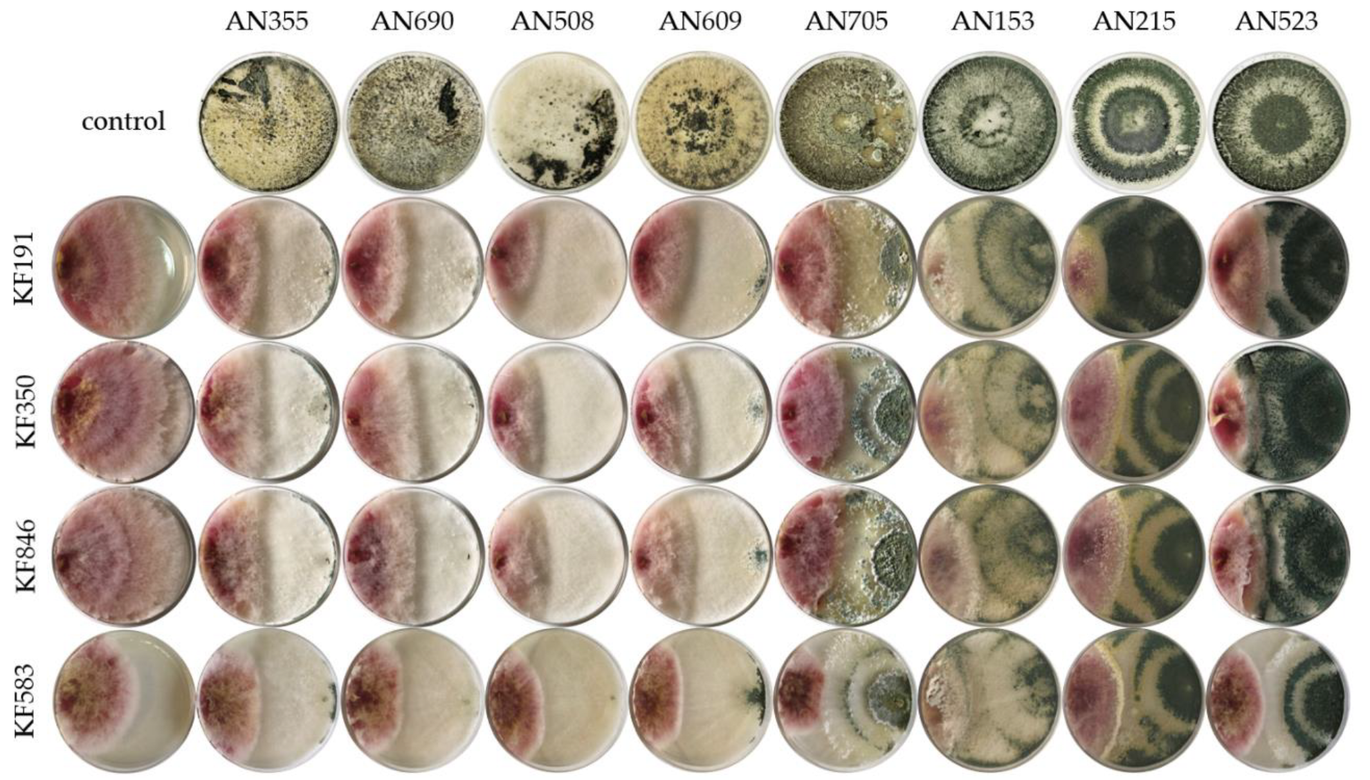Molecules 27 08146 g001 Molecules 27 08146 g001
