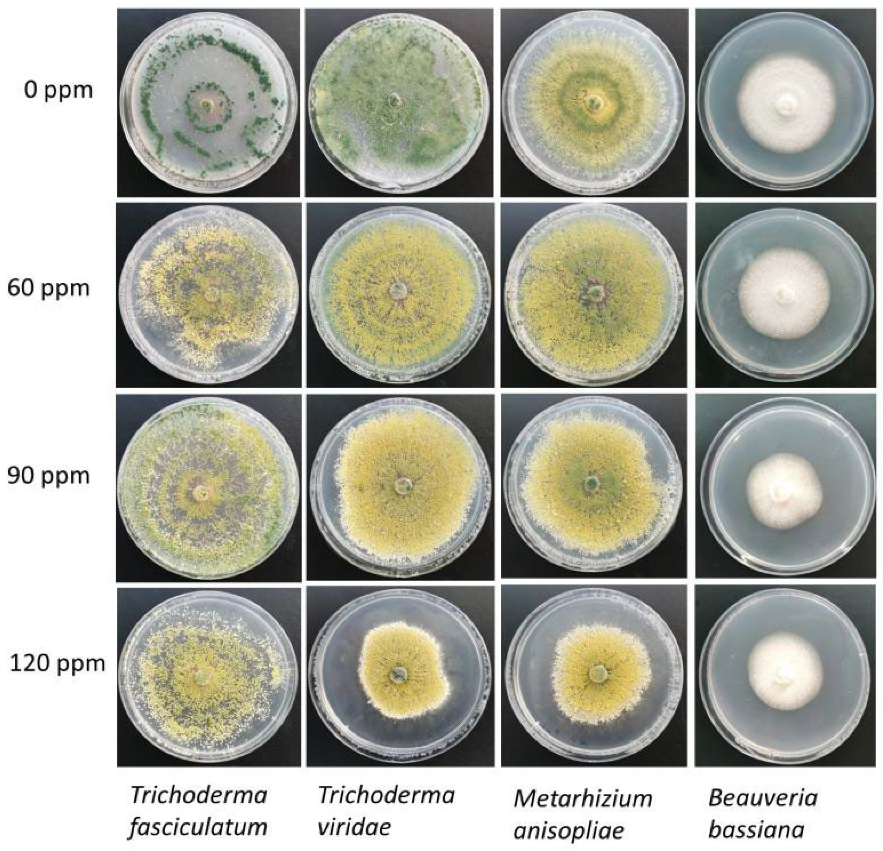 Molecules 27 08147 g003 Molecules 27 08147 g003
