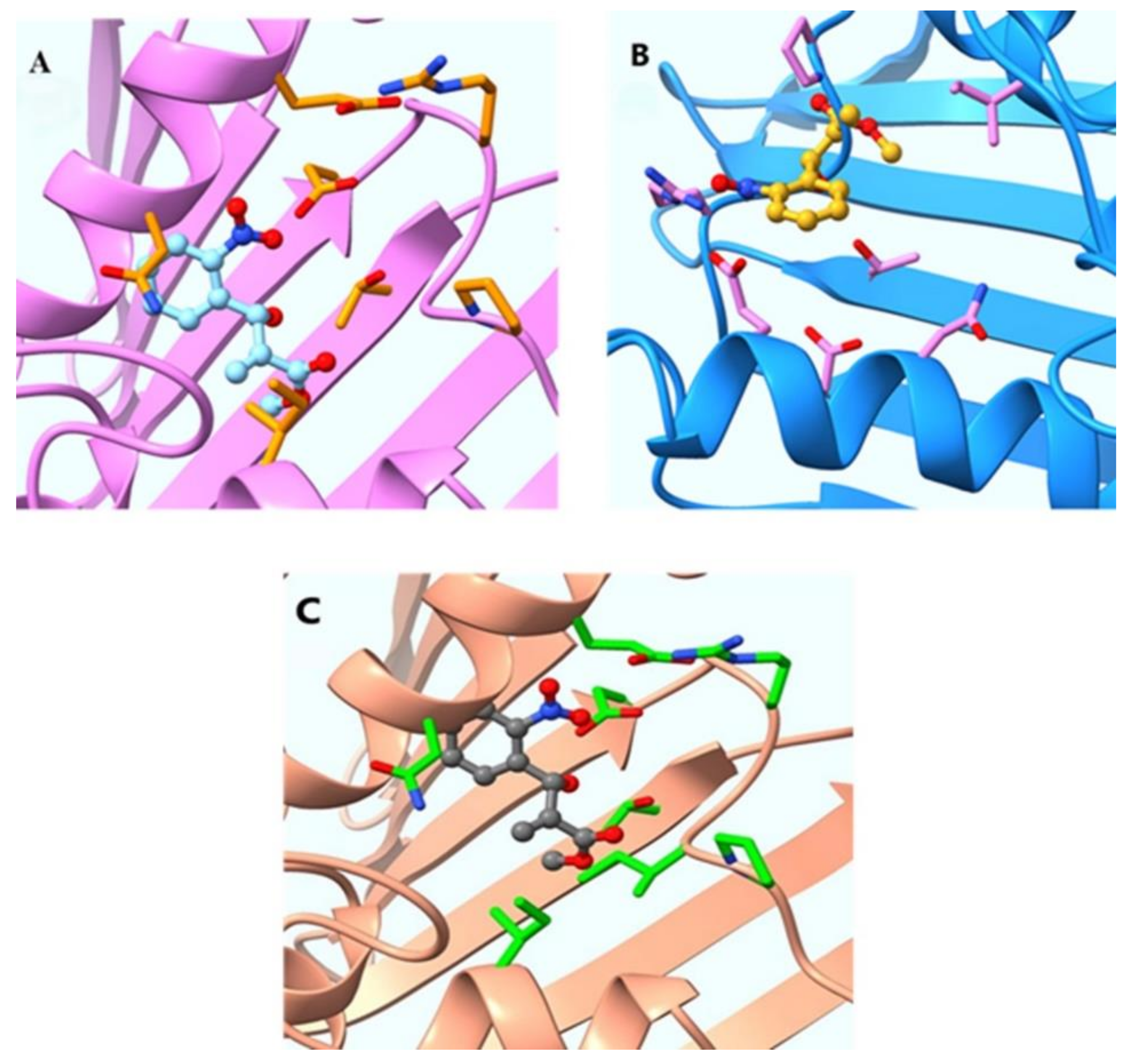 Molecules 27 08150 g010 Molecules 27 08150 g010