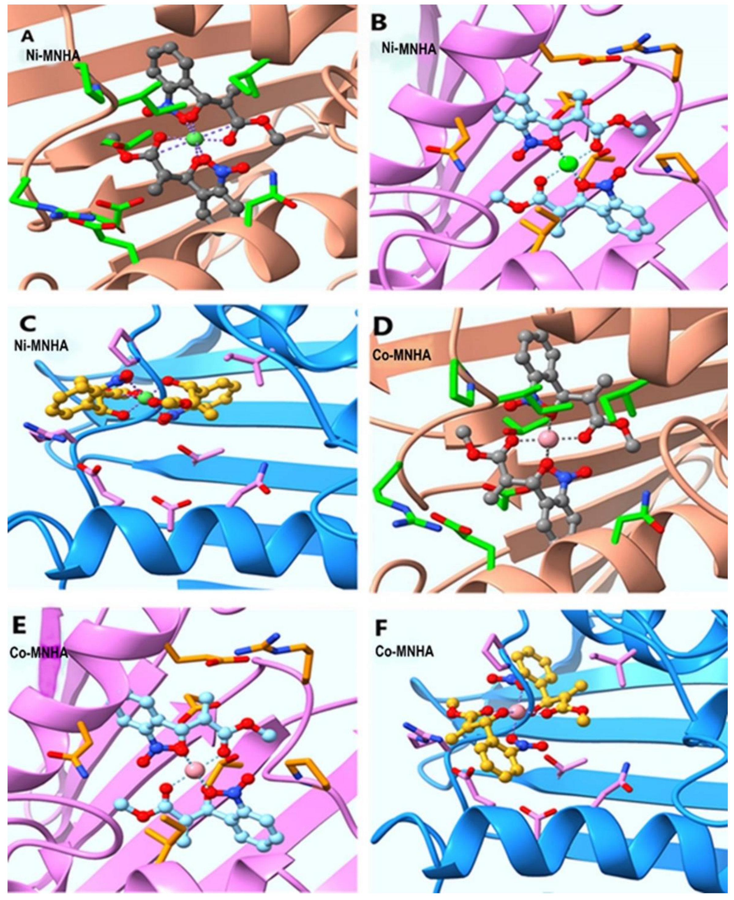 Molecules 27 08150 g011 Molecules 27 08150 g011