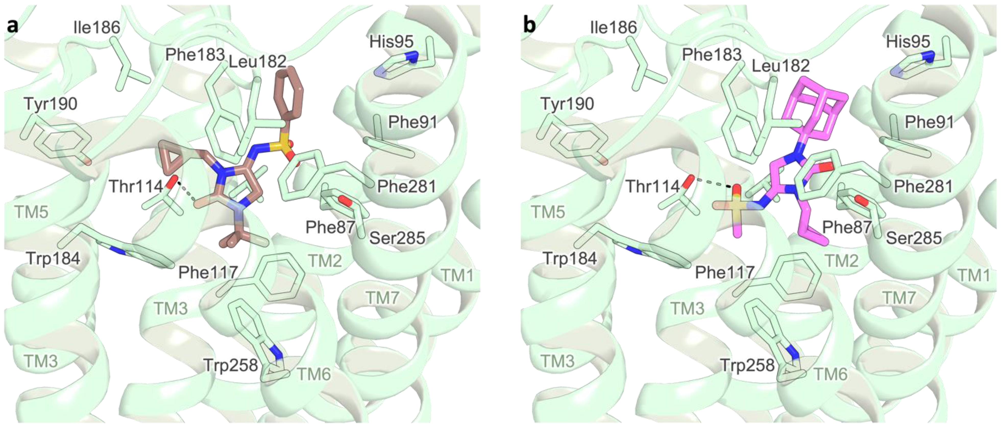 Molecules 27 08152 g005 Molecules 27 08152 g005