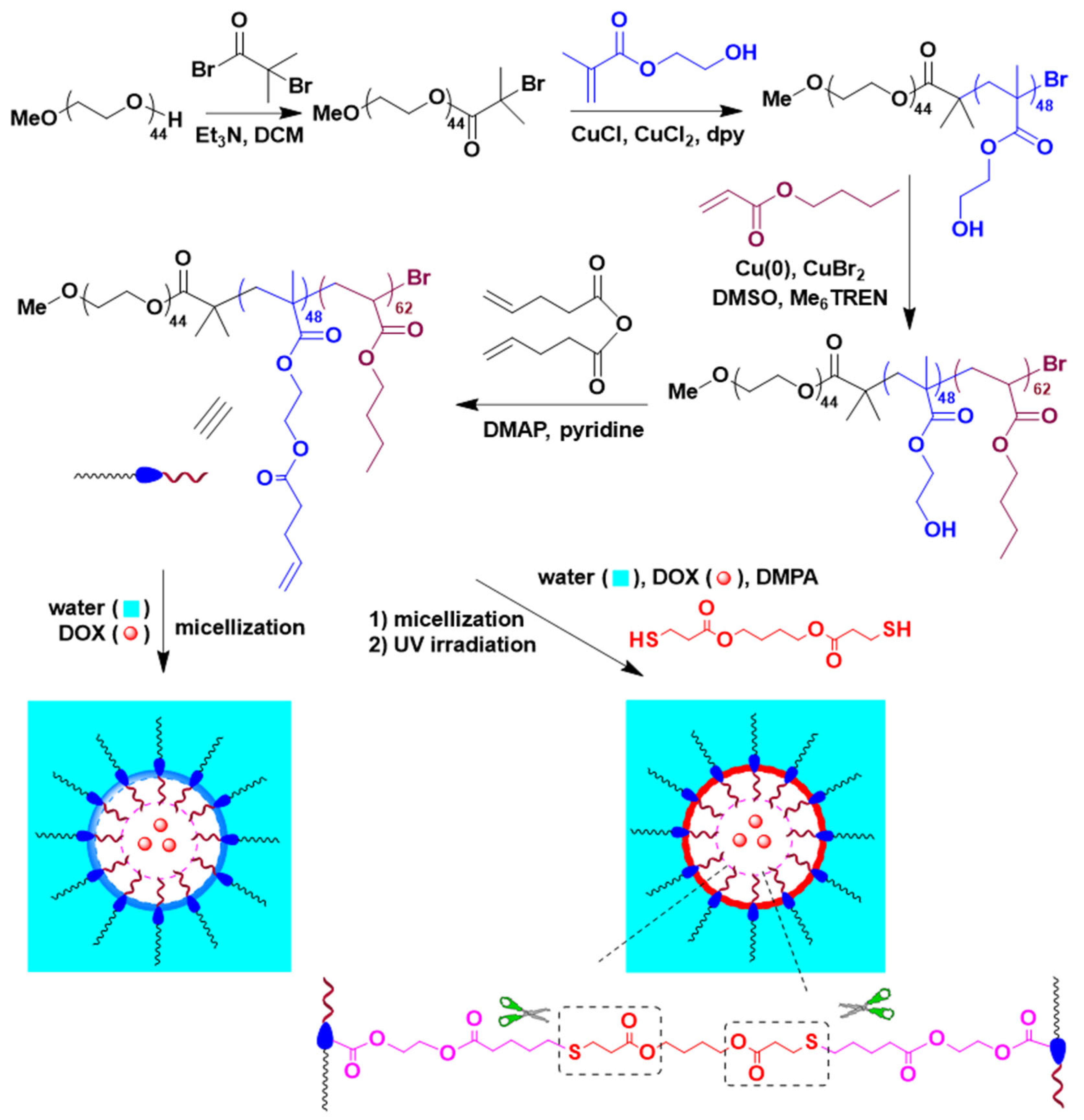 Molecules 27 08153 sch001 Molecules 27 08153 sch001