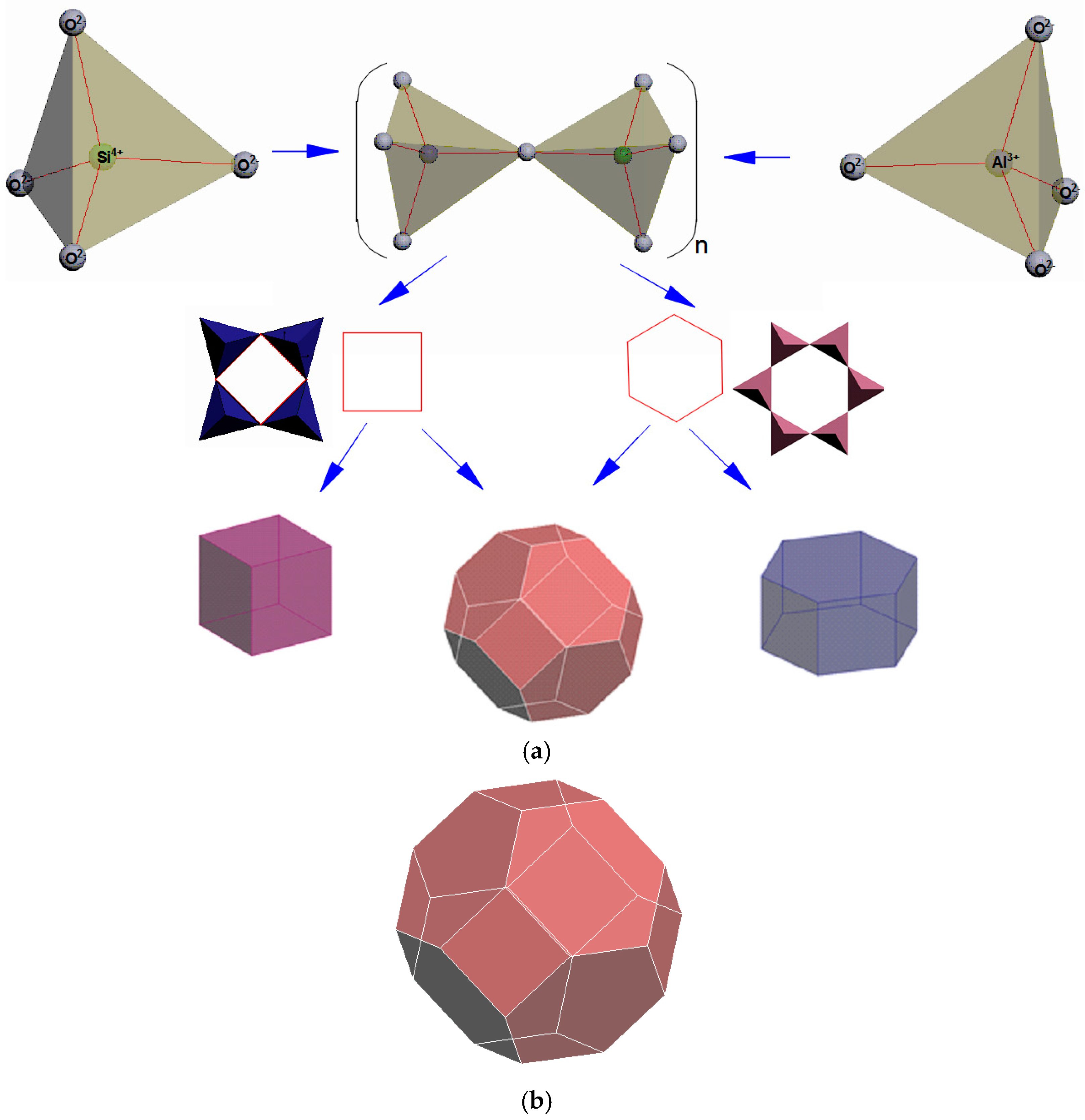 Molecules 27 08156 g005