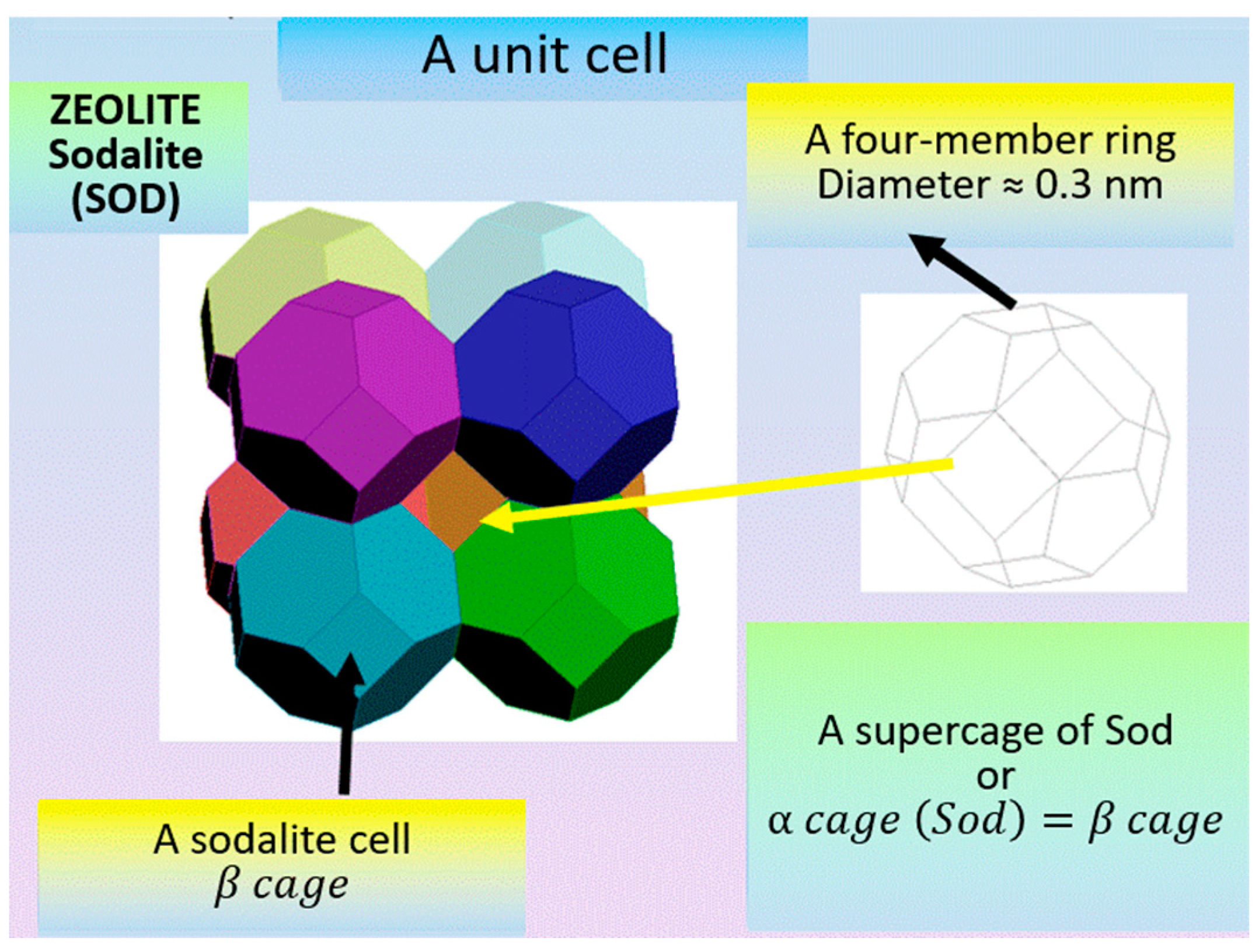 Molecules 27 08156 g009