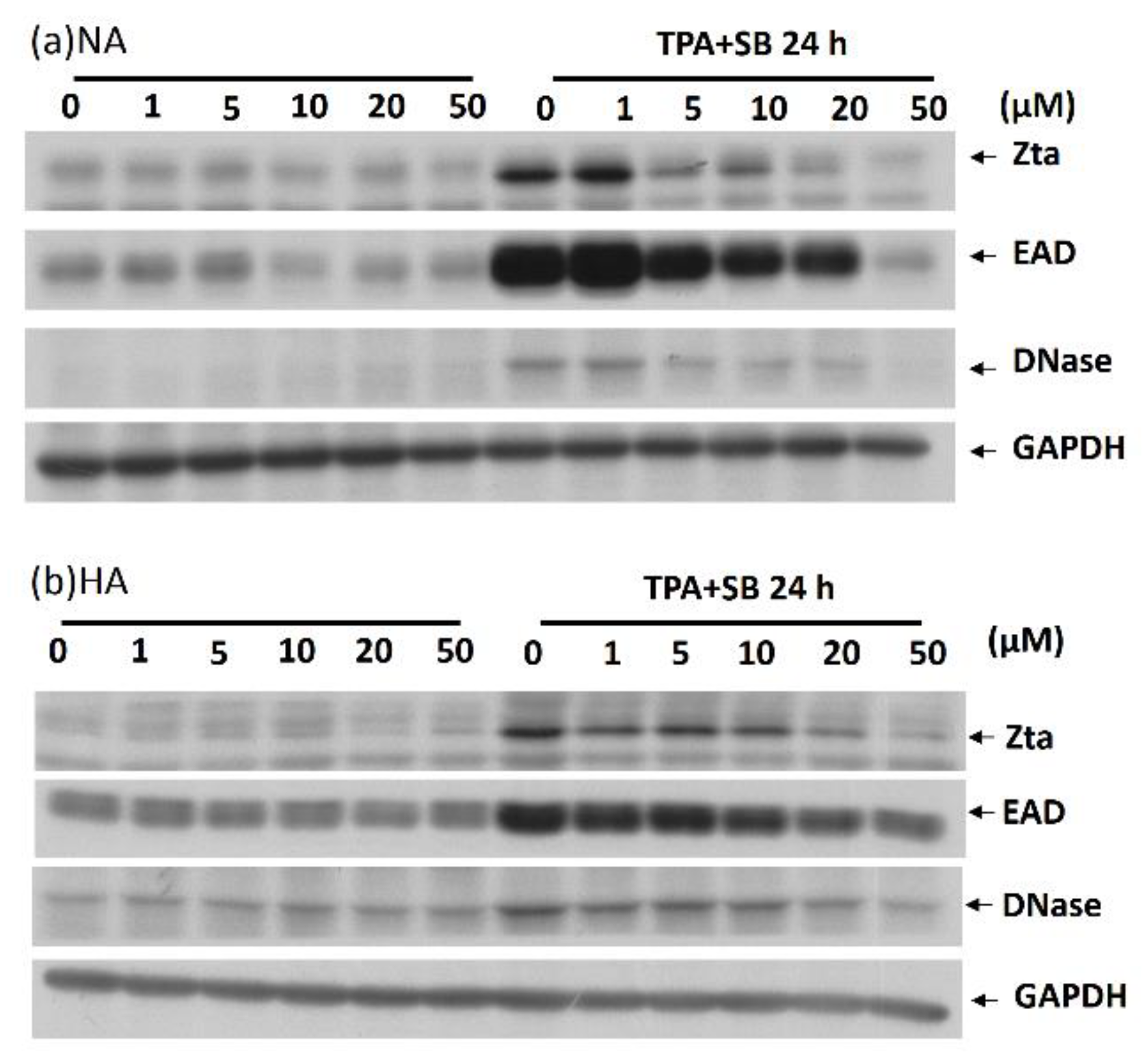 Molecules 27 08158 g002 Molecules 27 08158 g002