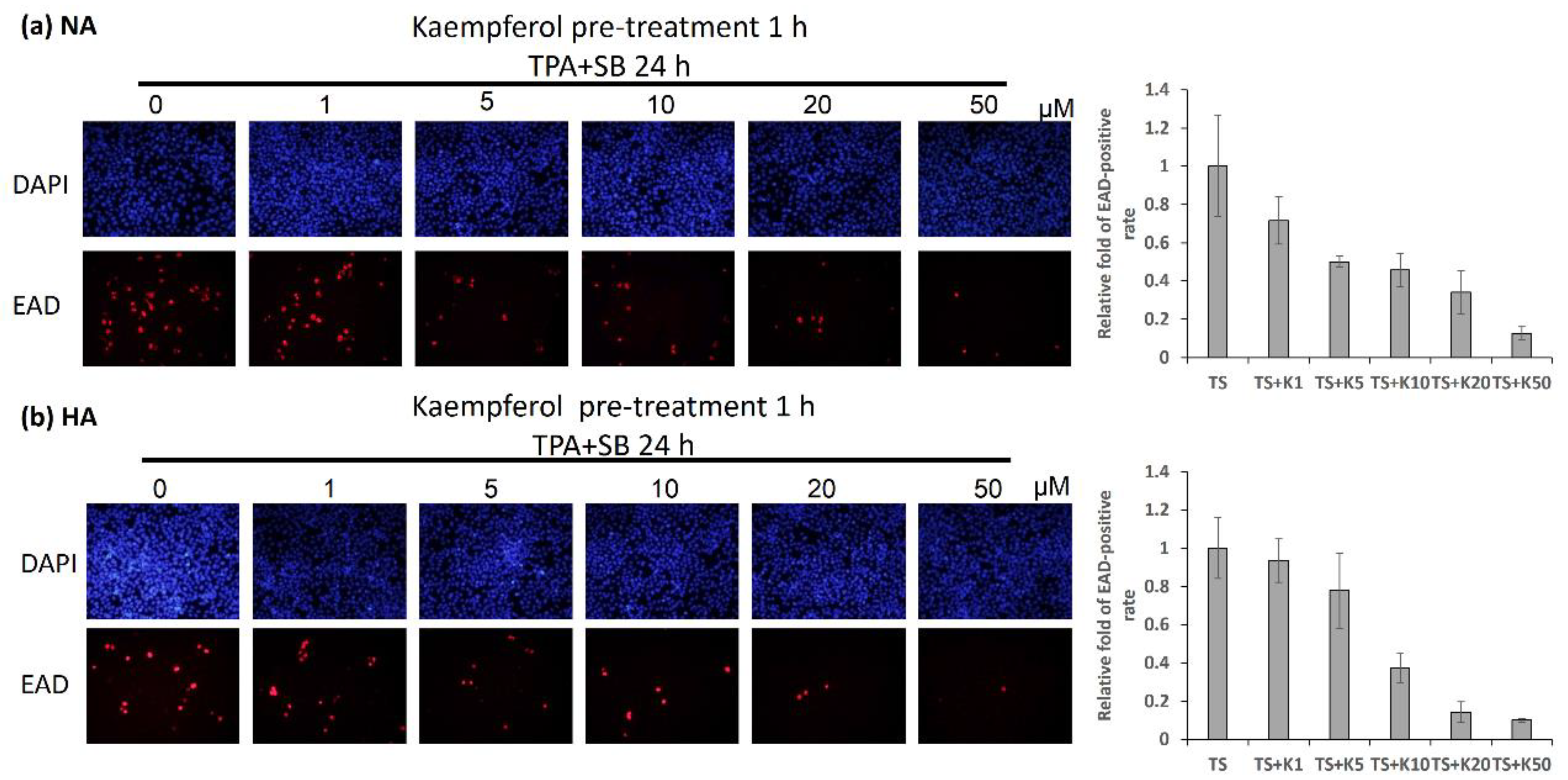 Molecules 27 08158 g003 Molecules 27 08158 g003