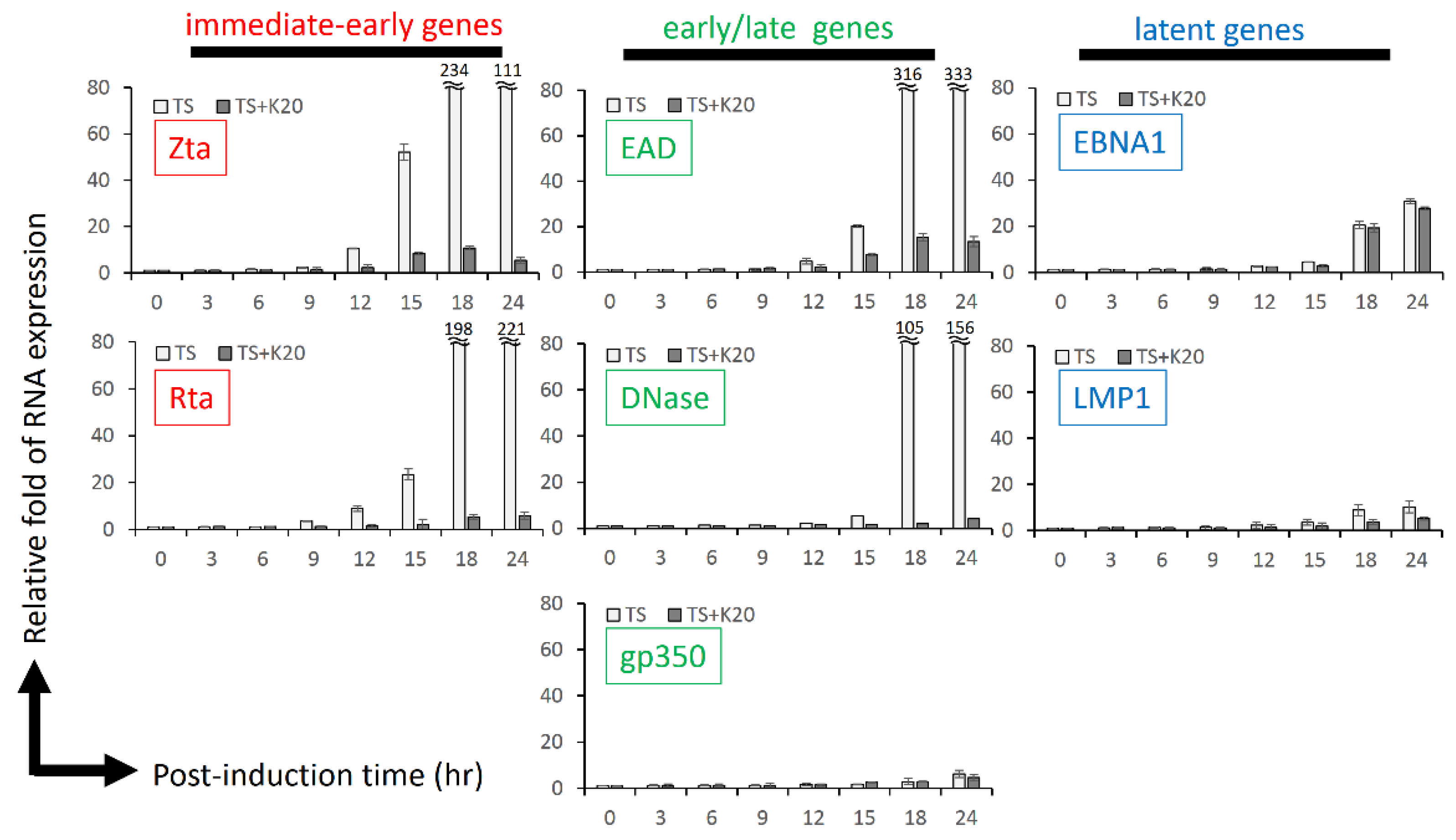 Molecules 27 08158 g004 Molecules 27 08158 g004
