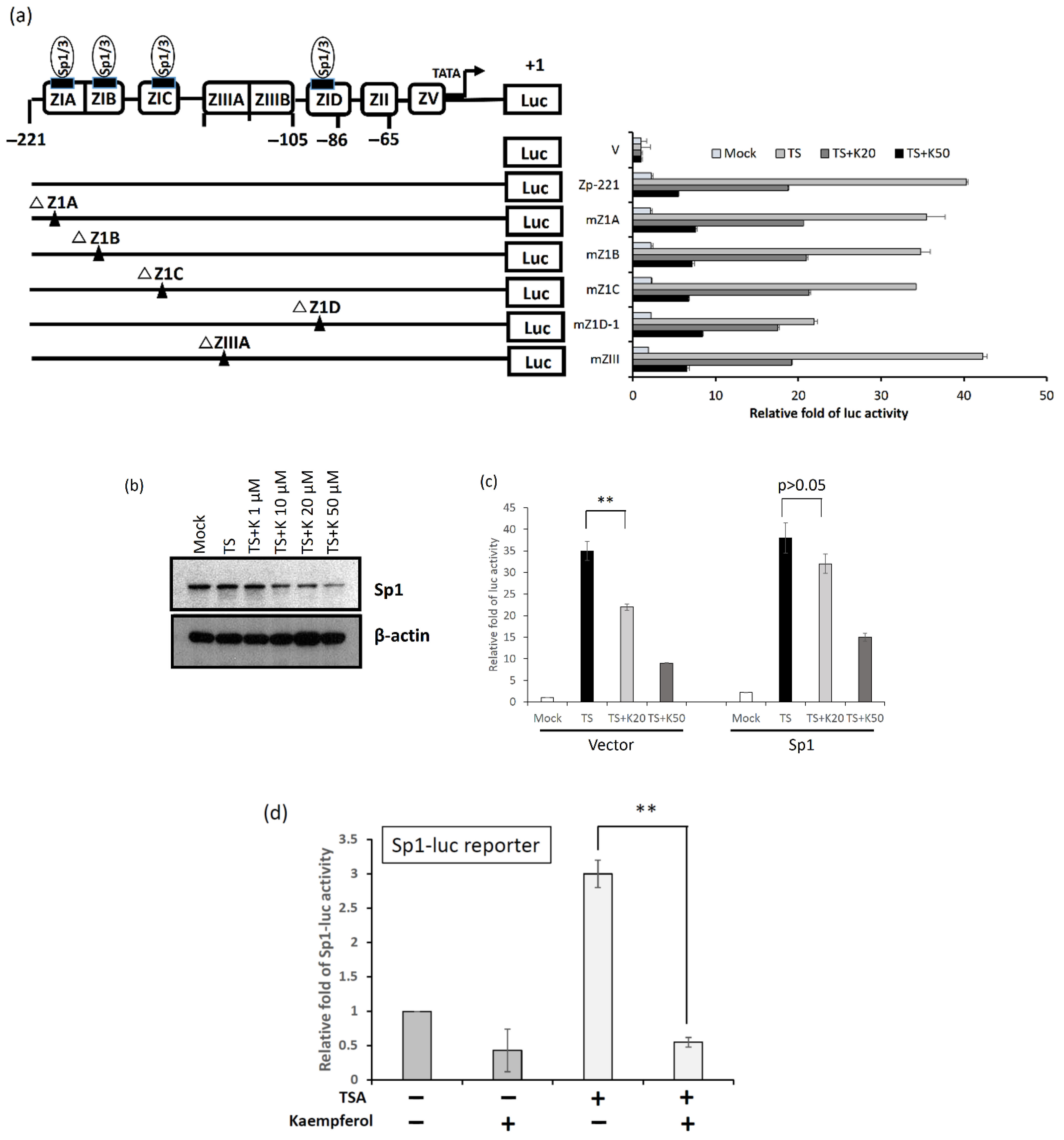 Molecules 27 08158 g007 Molecules 27 08158 g007