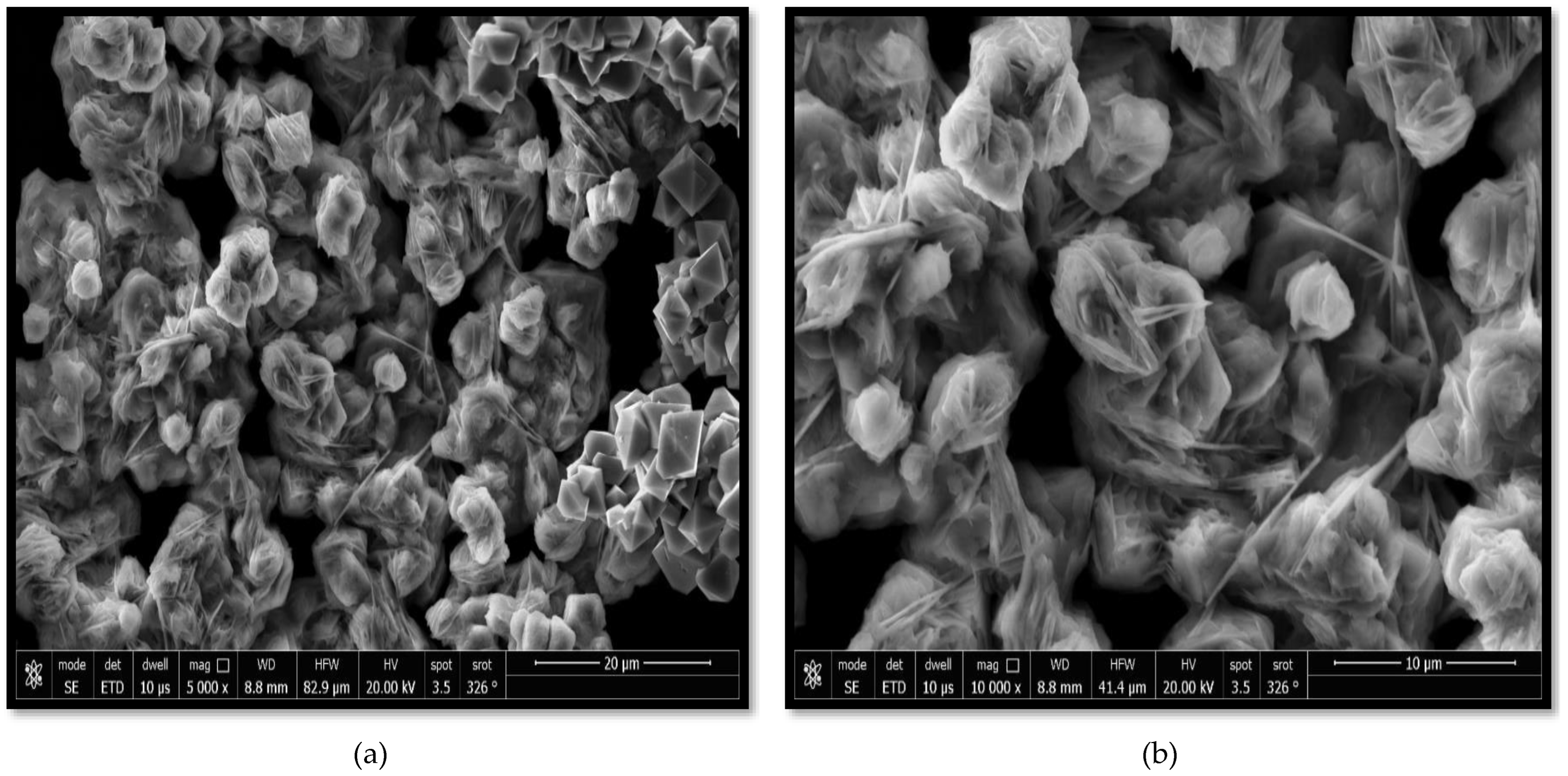 Molecules 27 08163 g005 Molecules 27 08163 g005