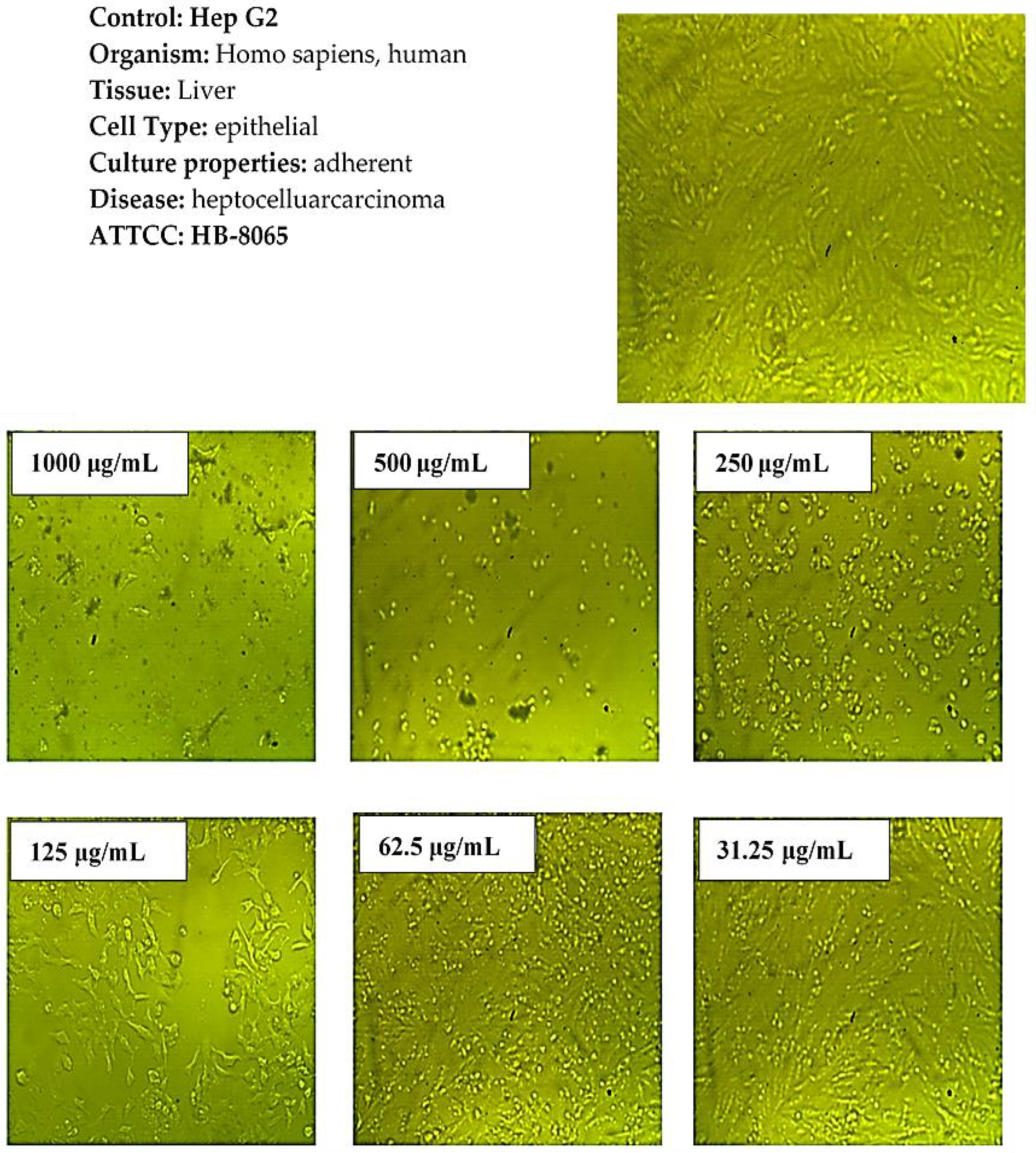 Molecules 27 08163 g009 Molecules 27 08163 g009