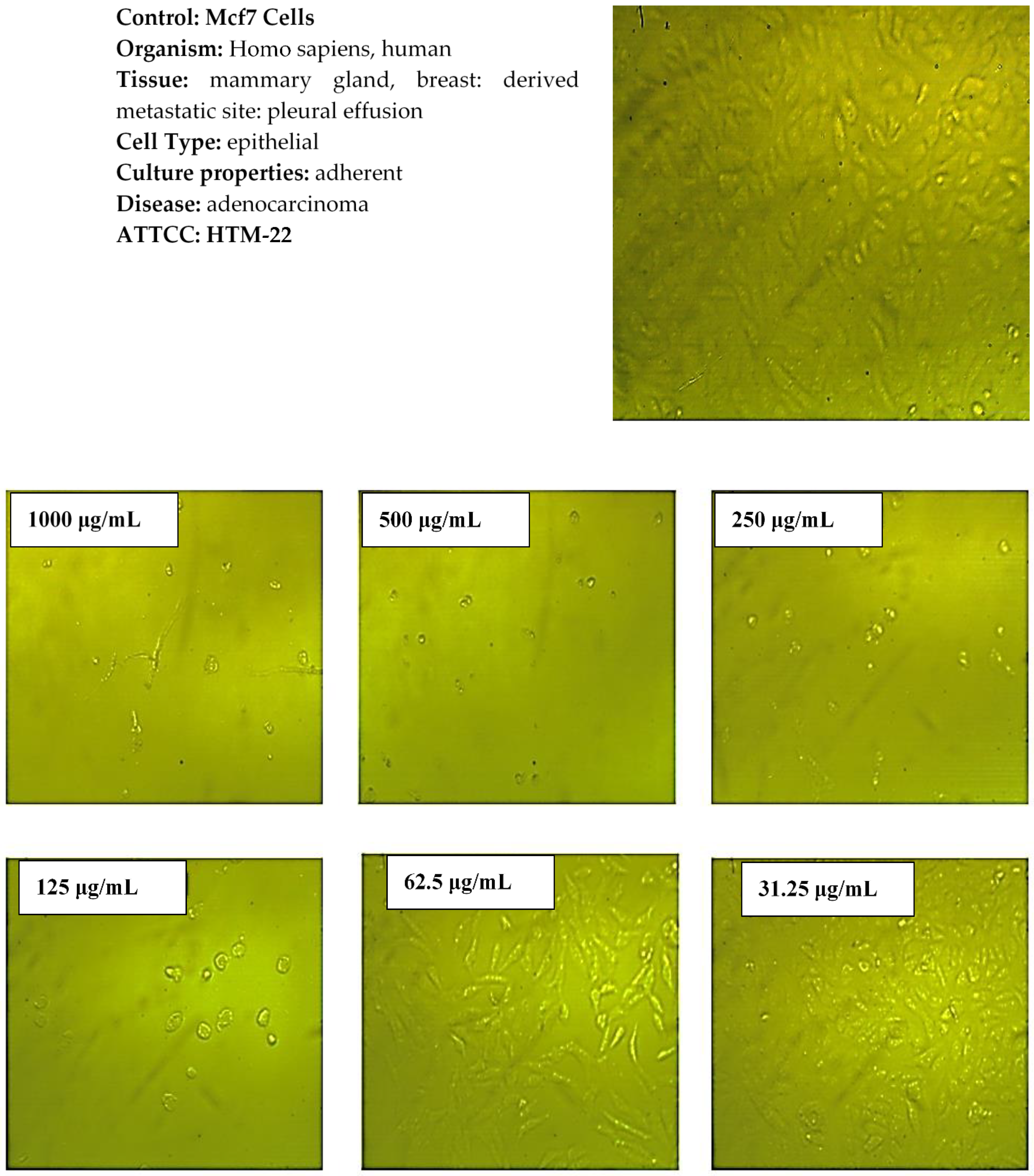 Molecules 27 08163 g010 Molecules 27 08163 g010