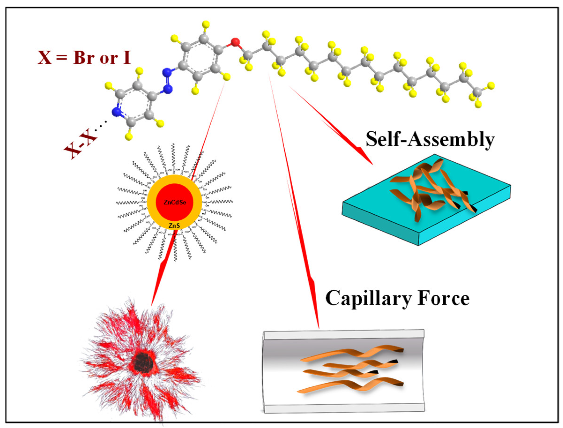 Molecules 27 08165 sch001