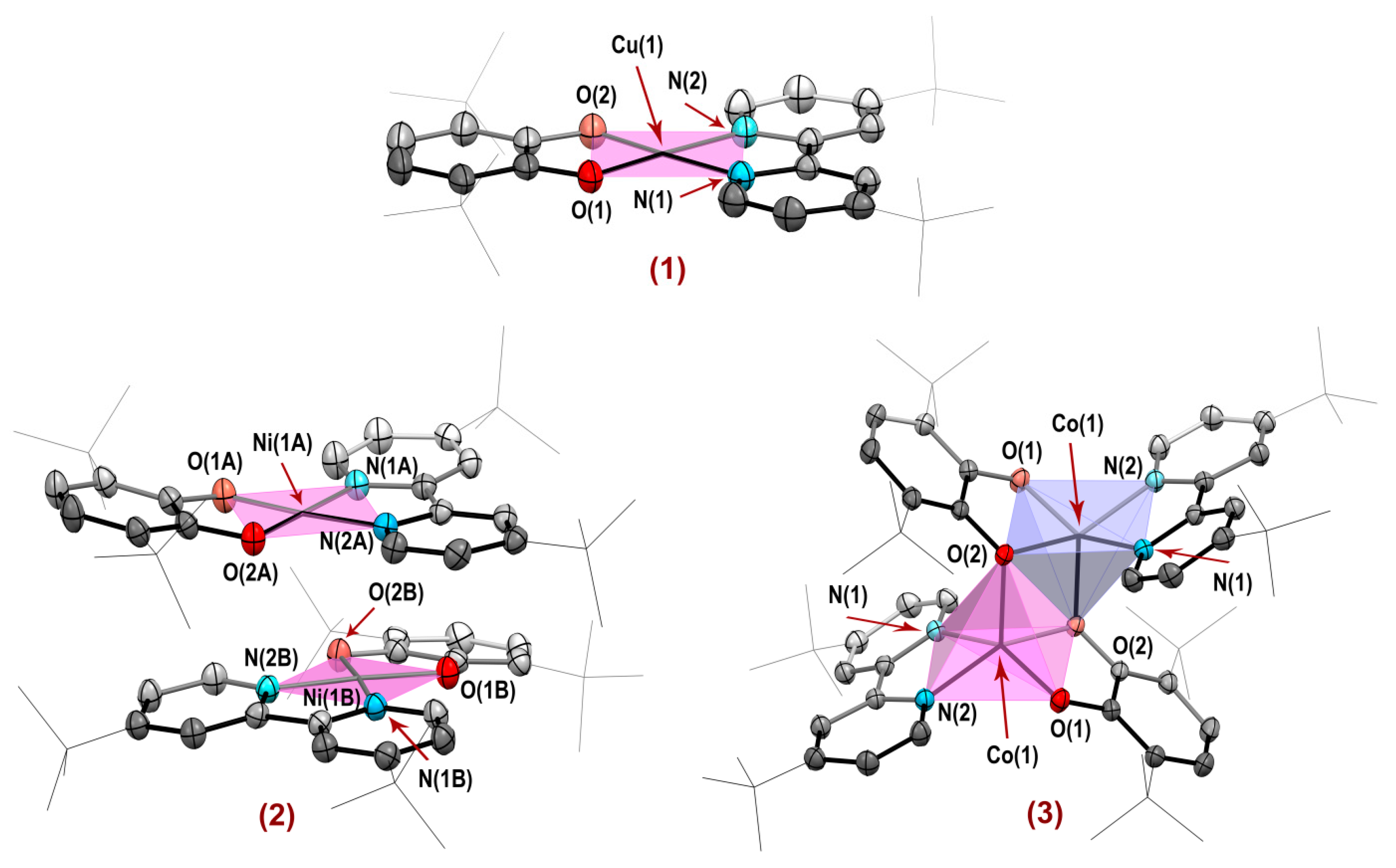 Molecules 27 08175 g002 Molecules 27 08175 g002