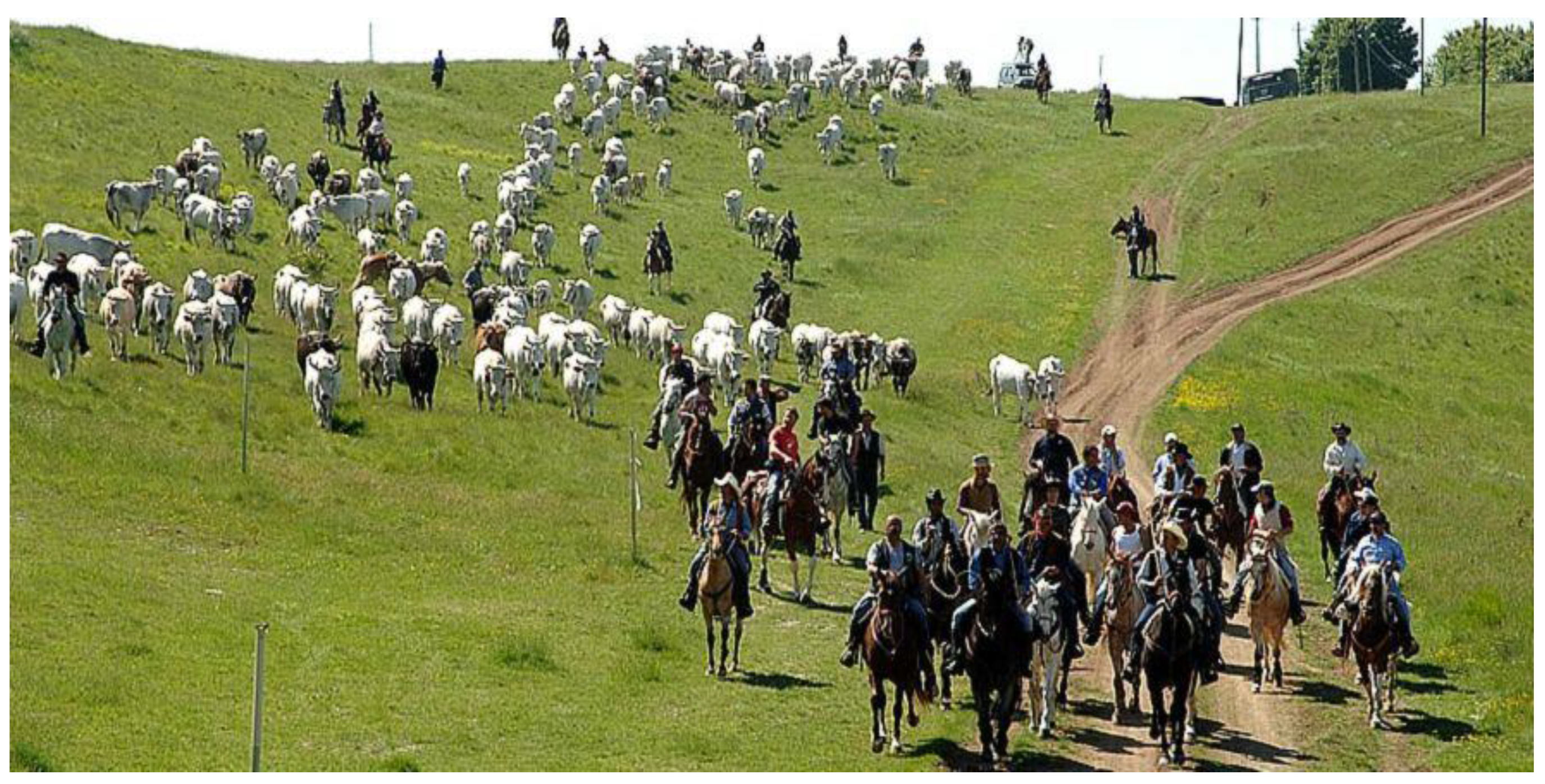 Molecules 27 08177 g001