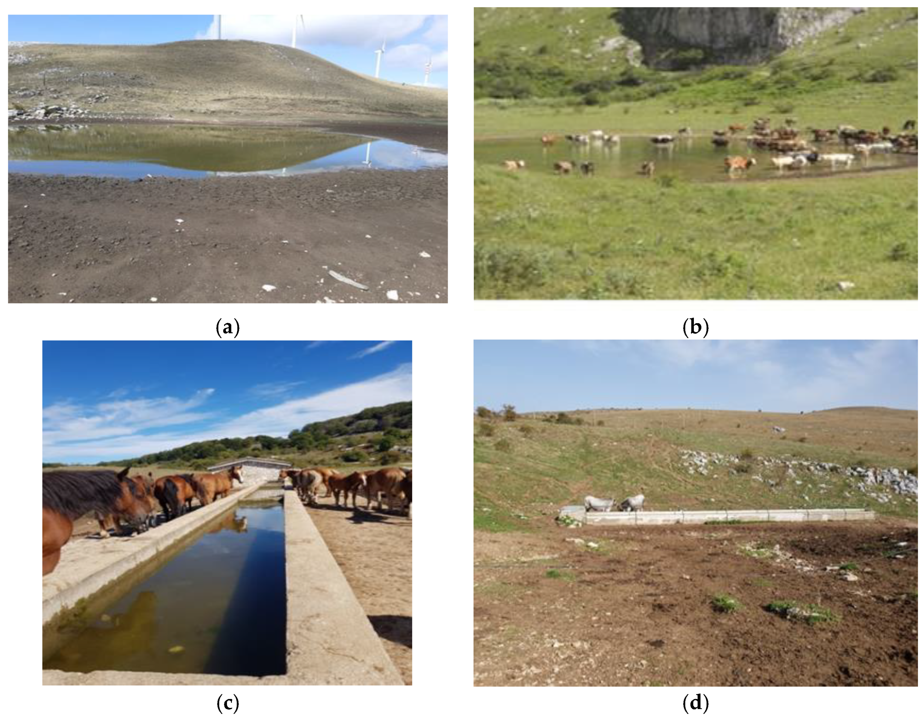 Molecules 27 08177 g003