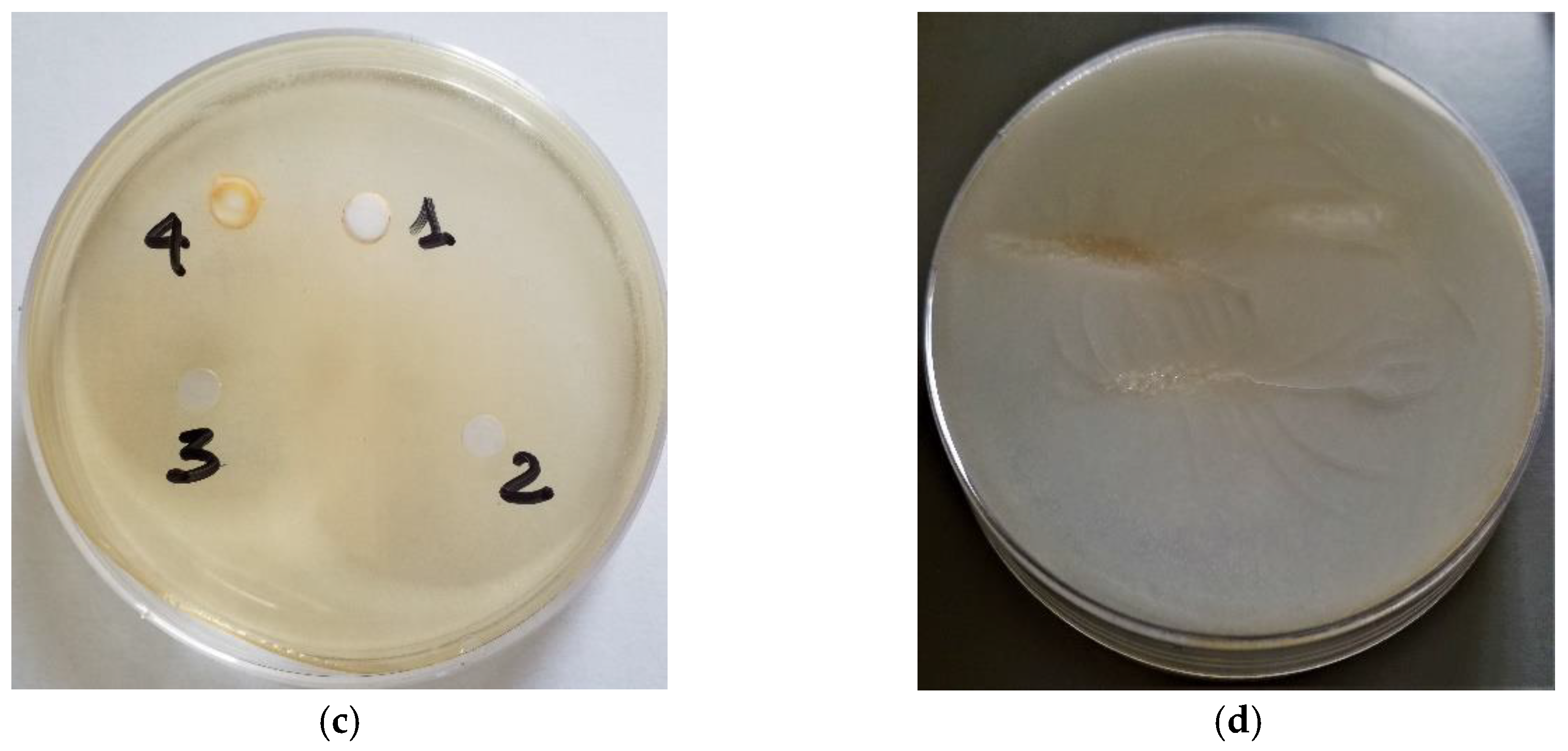 Molecules 27 08177 g007b