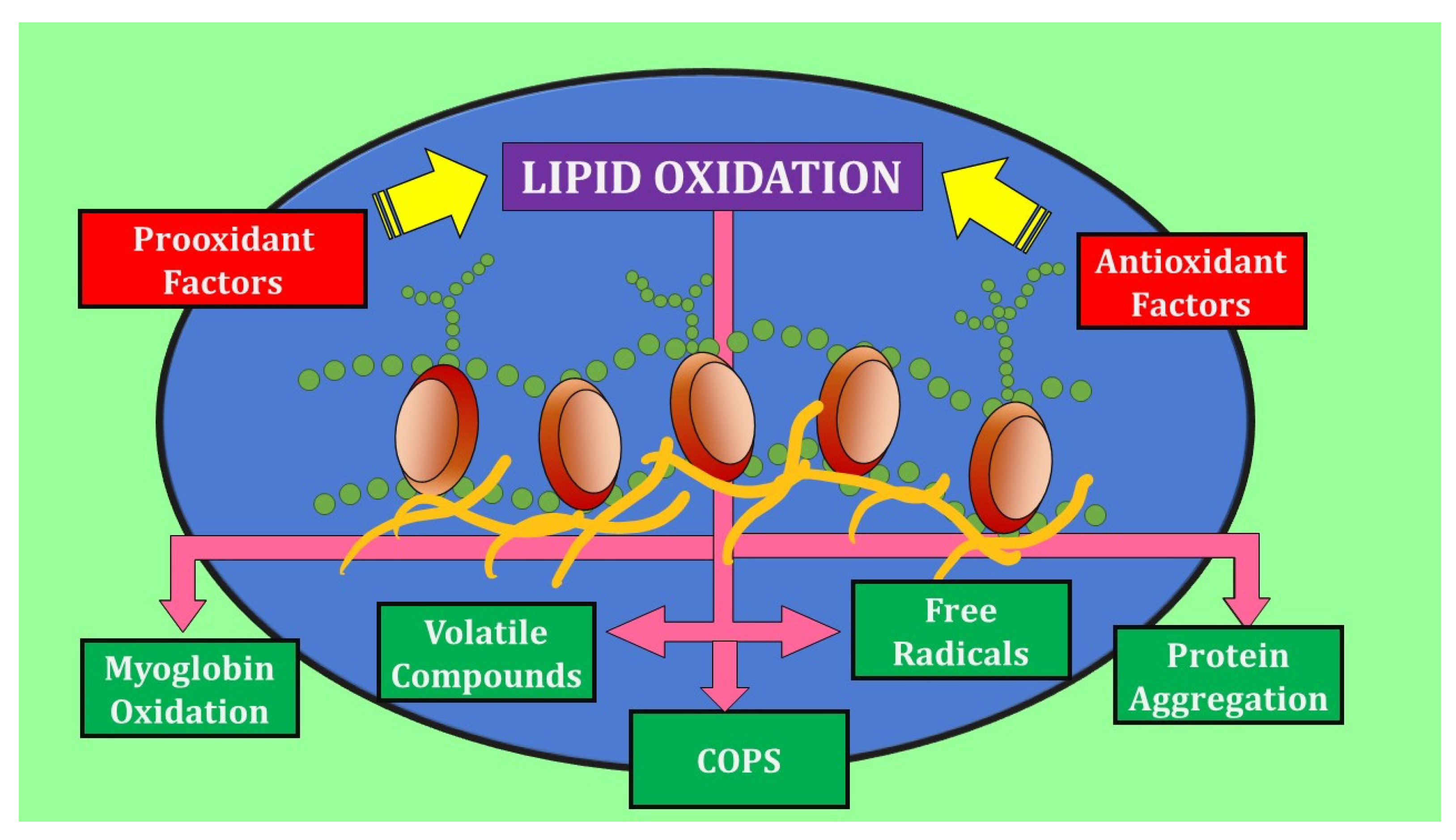 Molecules 27 08187 g001 Molecules 27 08187 g001