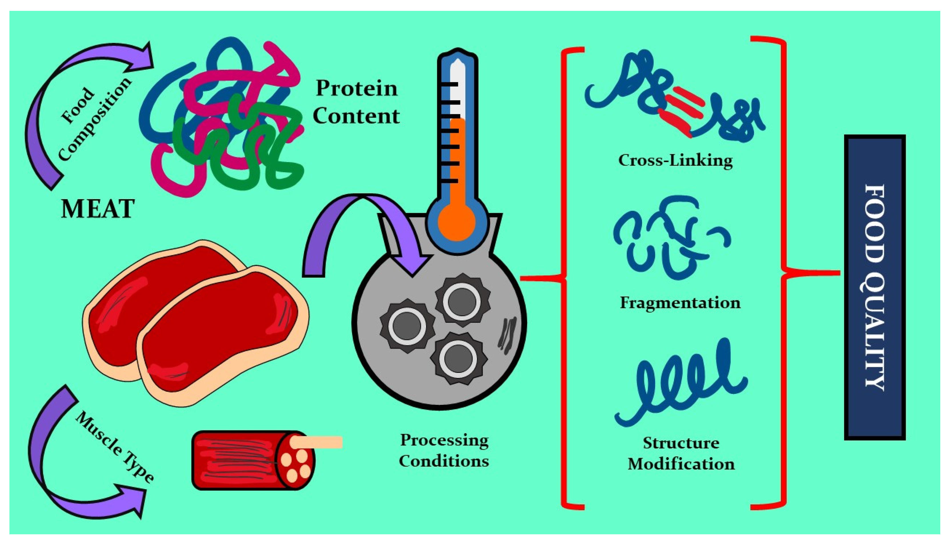 Molecules 27 08187 g002 Molecules 27 08187 g002