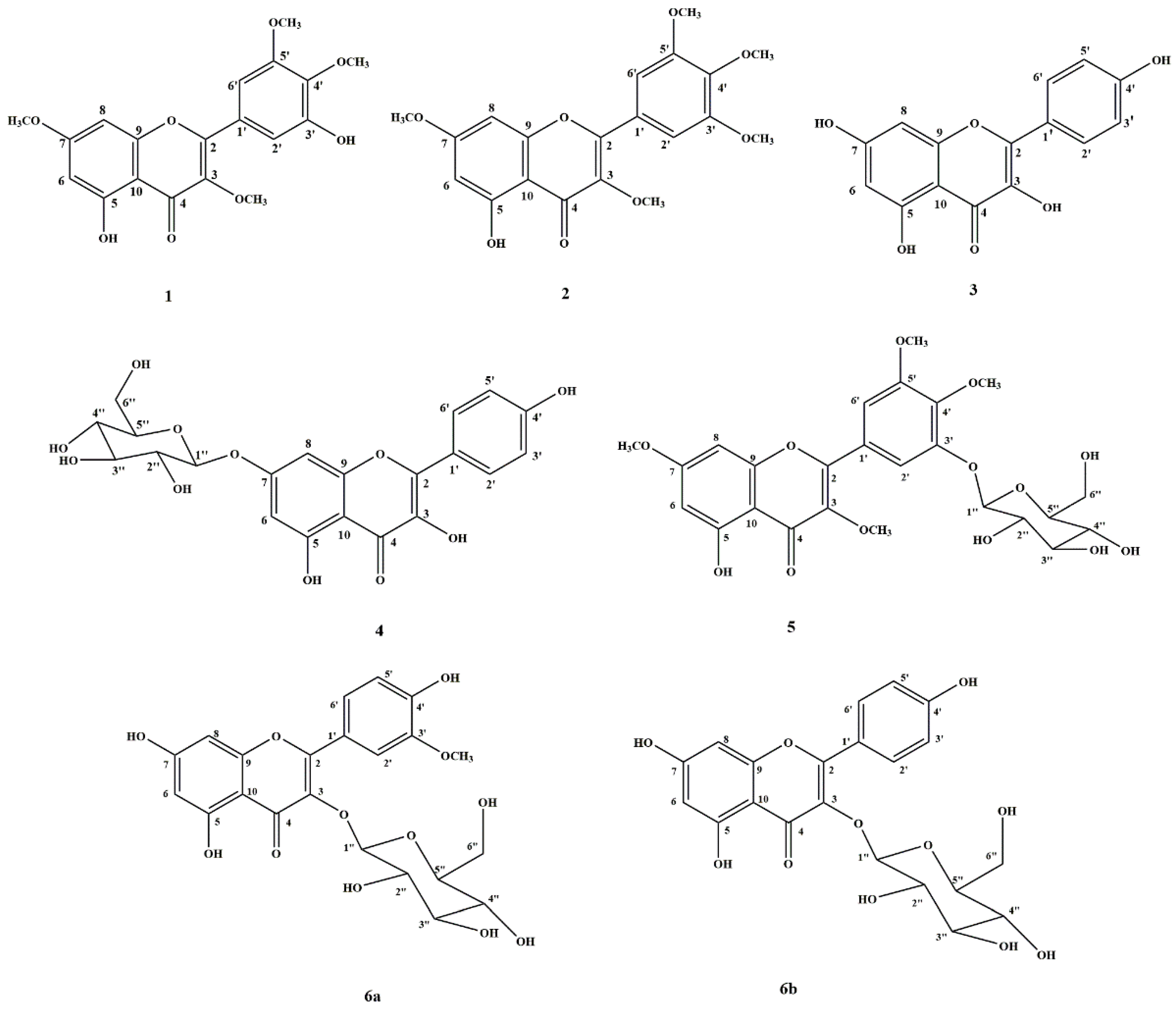 Molecules 27 08189 g002 Molecules 27 08189 g002