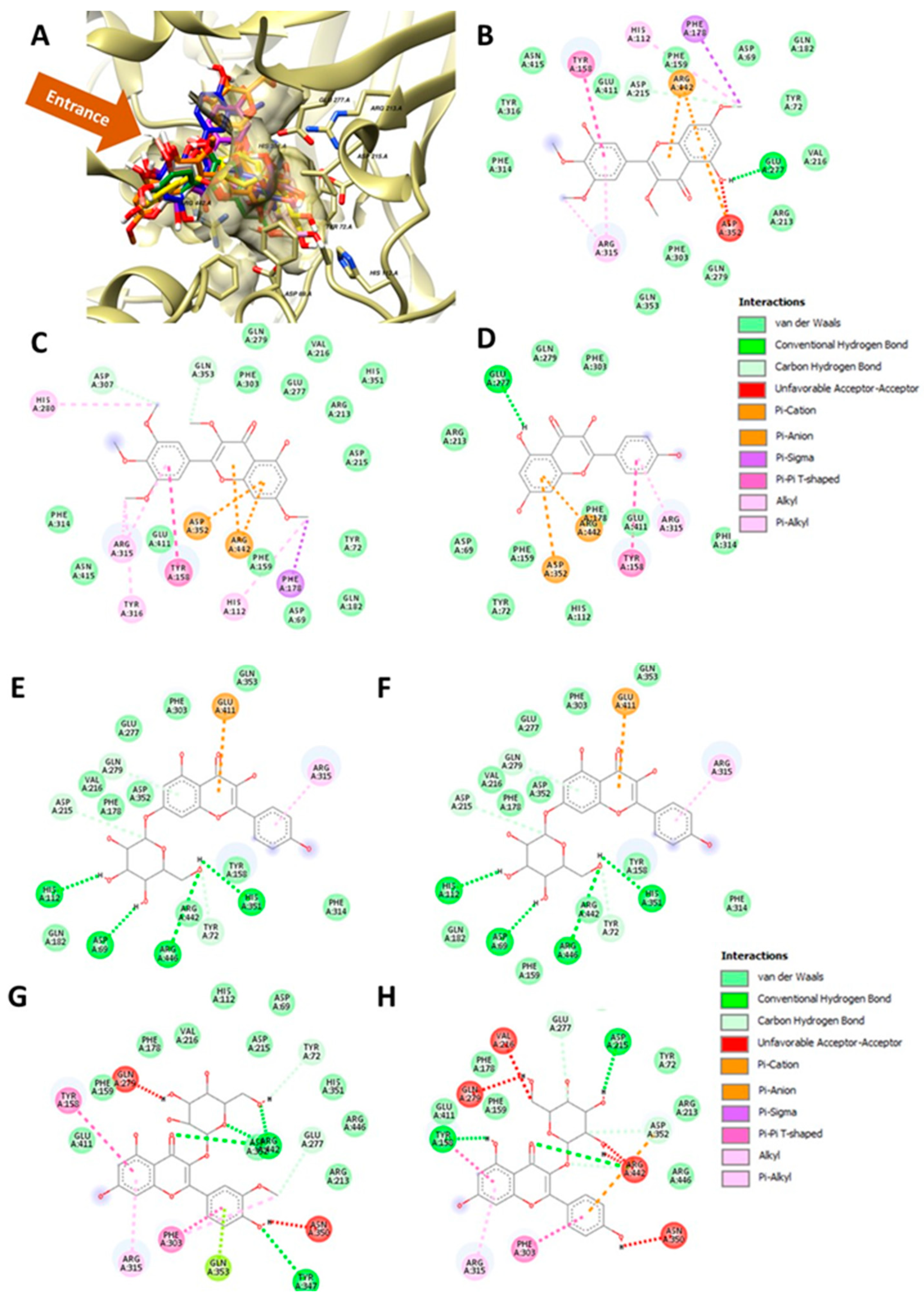 Molecules 27 08189 g005 Molecules 27 08189 g005