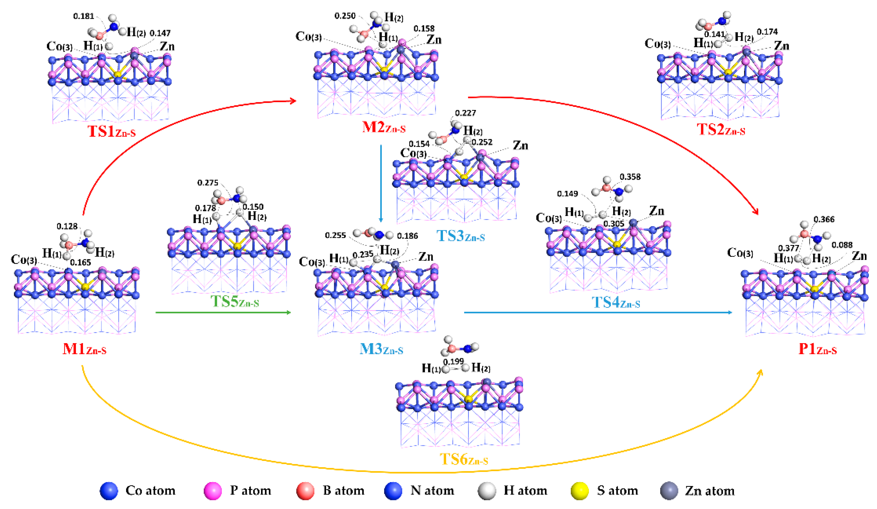 Molecules 27 08206 g004 Molecules 27 08206 g004
