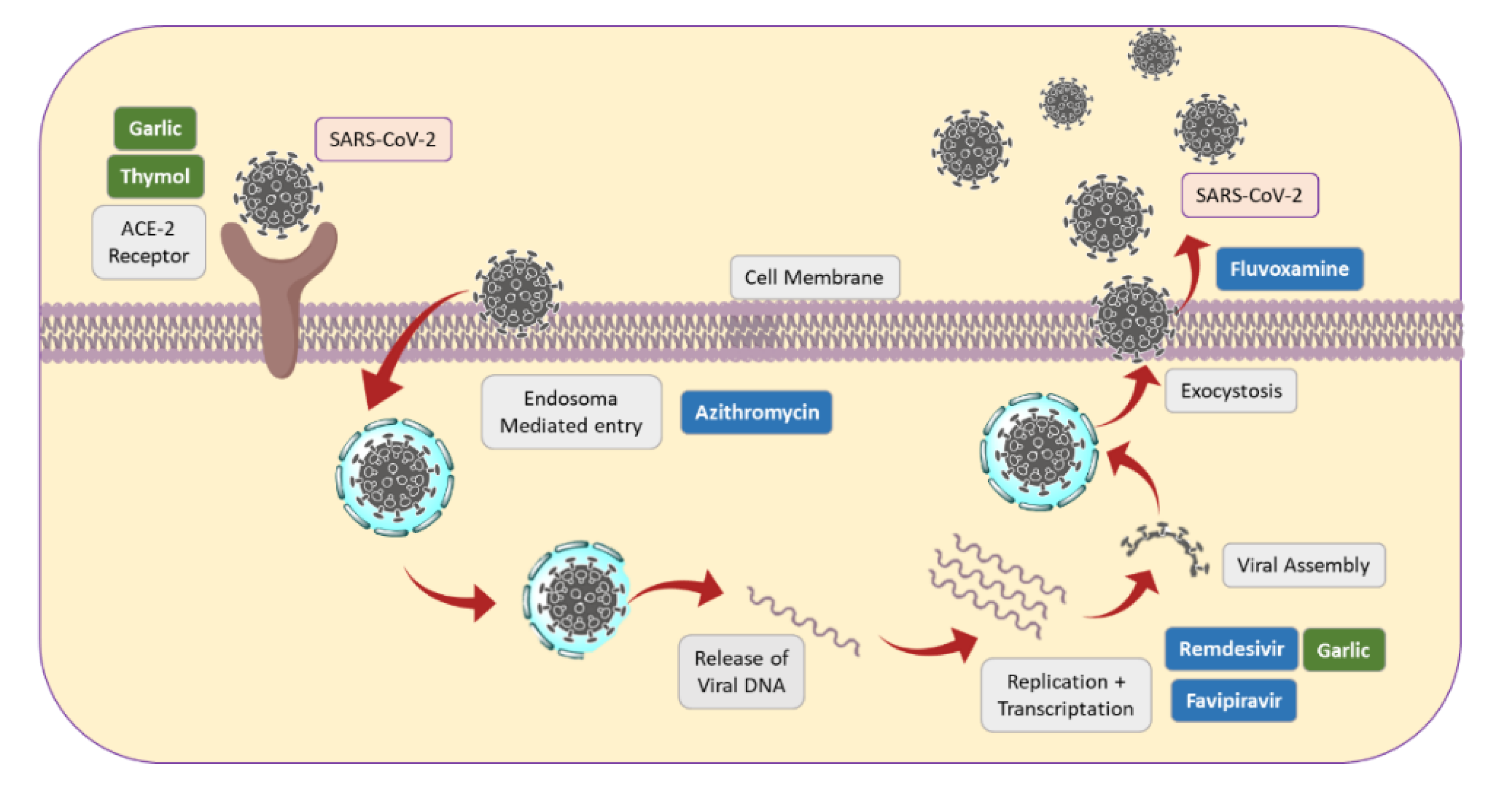 Molecules 27 08210 g005