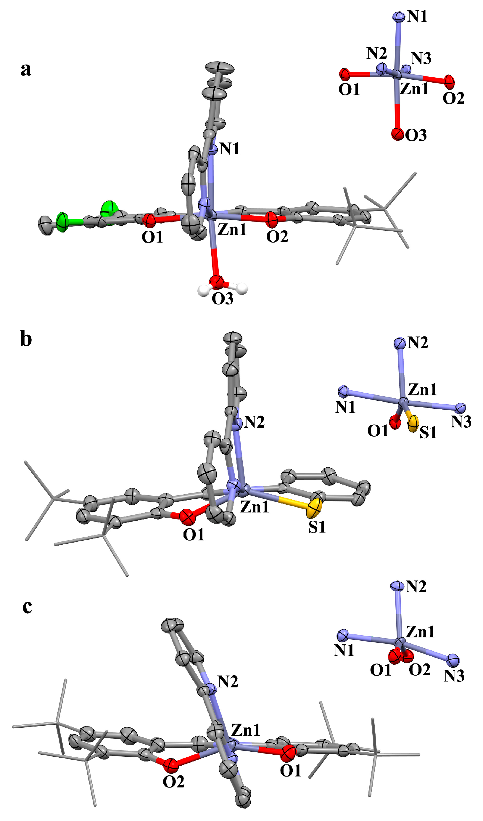 Molecules 27 08216 g004