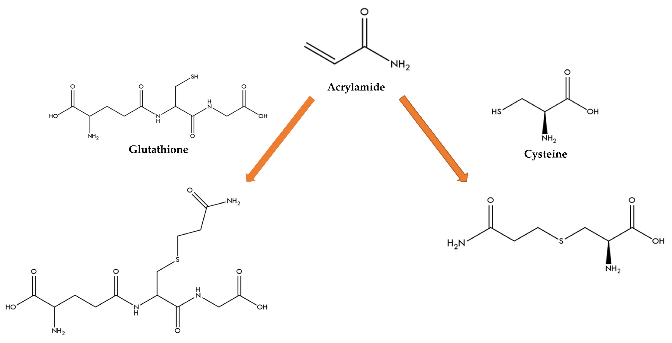 Molecules 27 08220 g001 Molecules 27 08220 g001