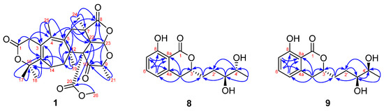 New Meroterpenoid and Isocoumarins from the Fungus